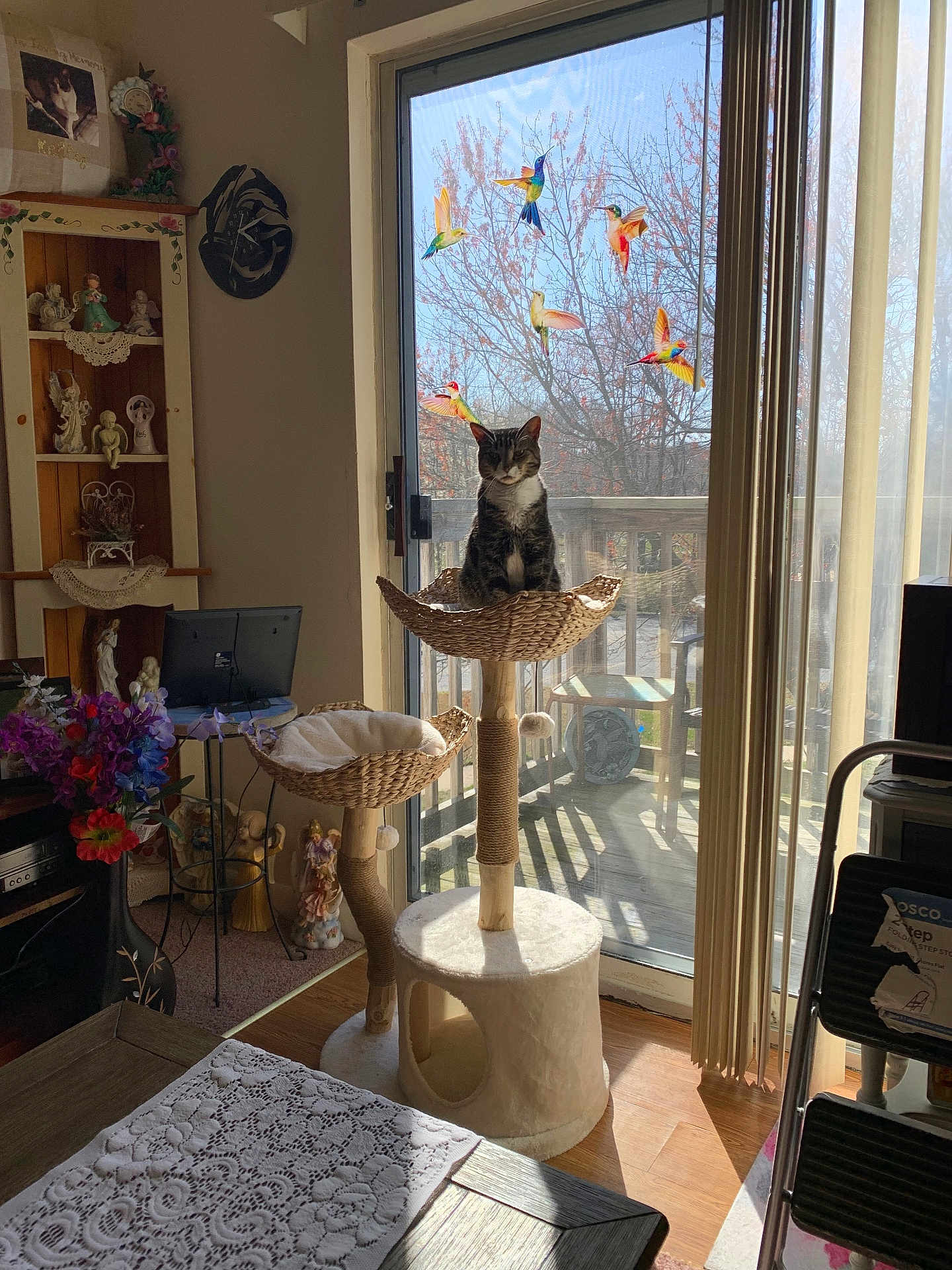 Luna