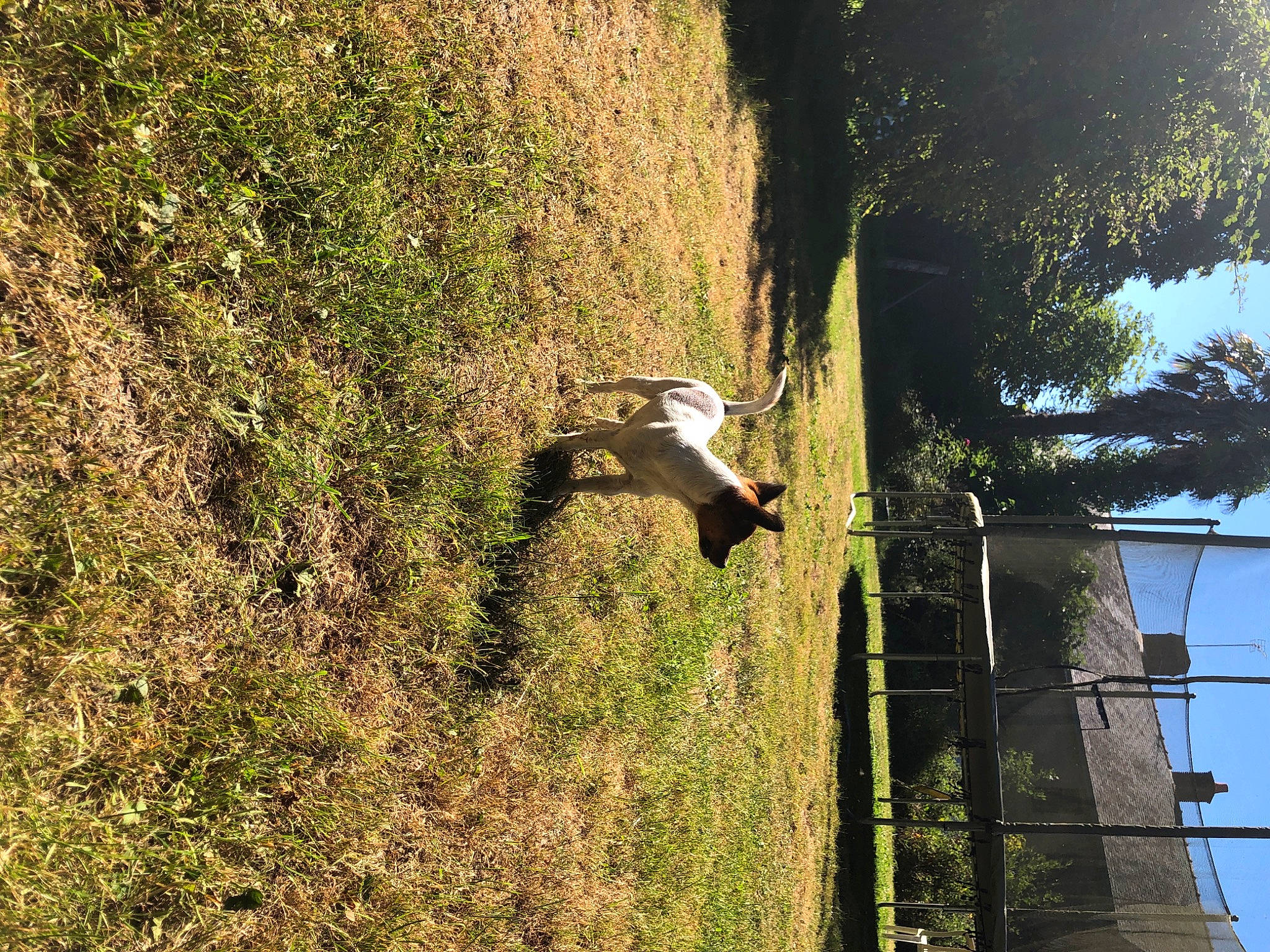 Roxane a rejoint le concours — aidez-le/la à gagner de superbes lots ! biome, bird, branch, ecoregion, forest, grass, house, landscape, leaf, plant, sky, soil, sunlight, tints_and_shades, tire, tree, trunk, vegetation, wood, woody_plant
