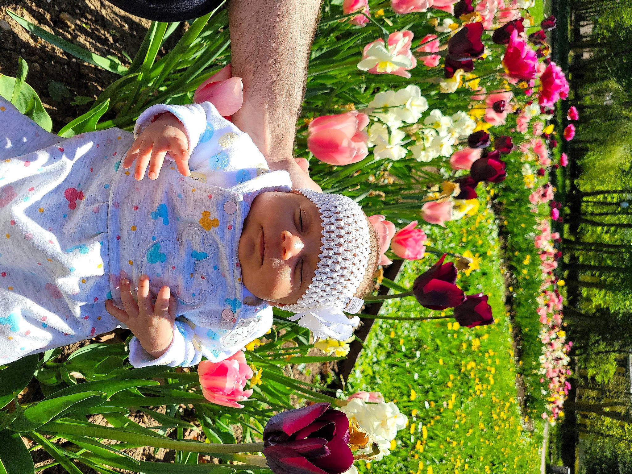 Alessia participe au concours pour gagner de l'argent avec cette photo : annual_plant, baby_toddler_clothing, botany, event, flower, flowering_plant, fun, garden, grass, green, happy, hat, headwear, leisure, people_in_nature, person, petal, plant, rose_family, summer