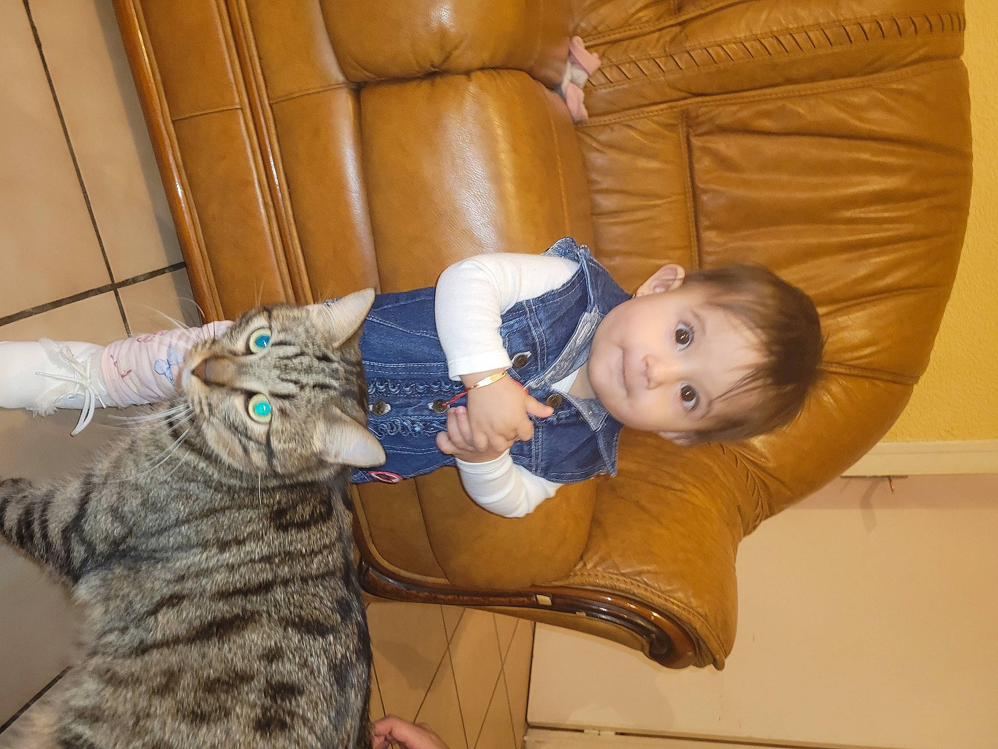 Alessia a rejoint le concours — aidez-le/la à gagner de superbes lots ! baby, baby_toddler_clothing, carnivore, cat, child, comfort, couch, domestic_short_haired_cat, felidae, flooring, fur, lap, person, room, sitting, skin, small_to_medium_sized_cats, tail, toddler, whiskers