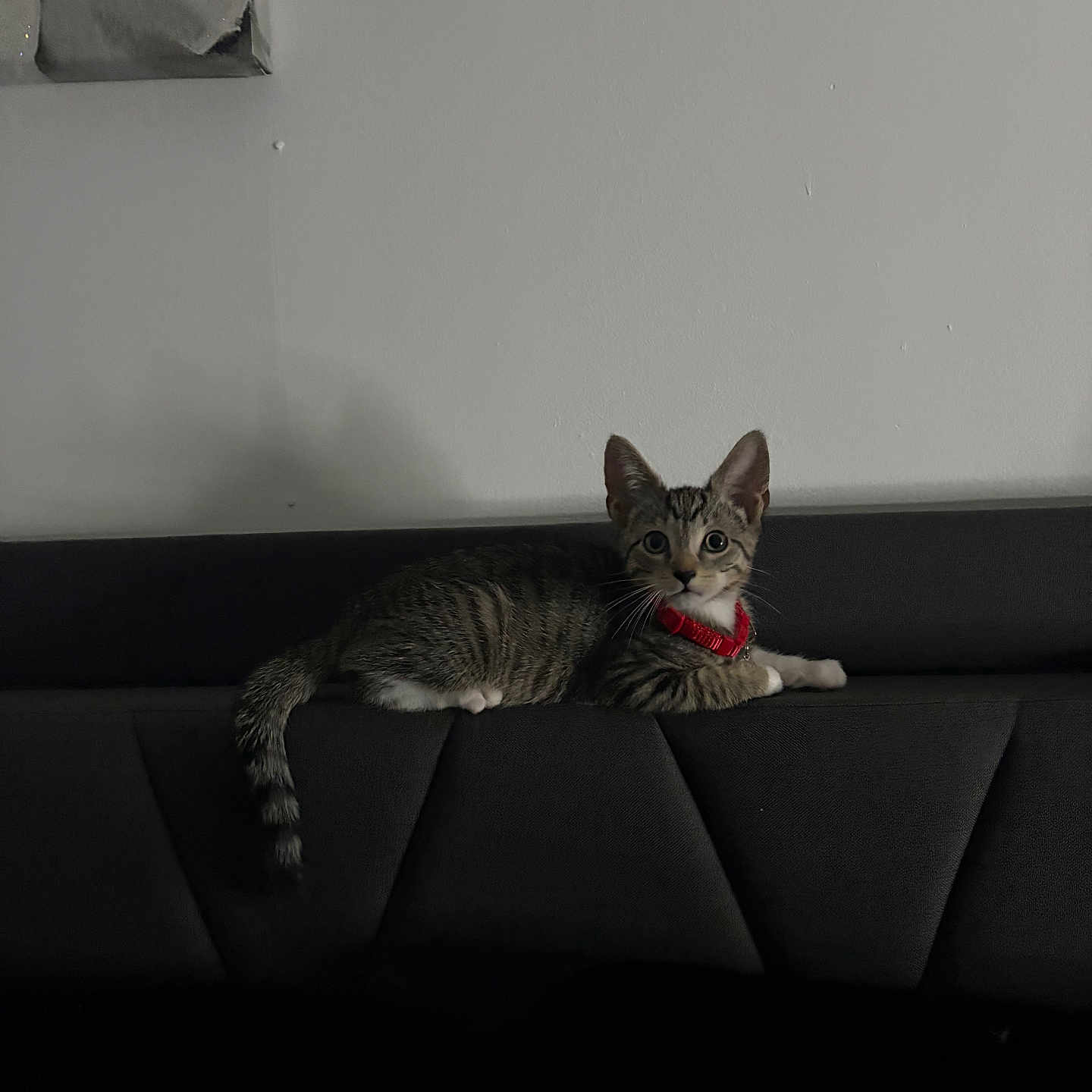 Kairo