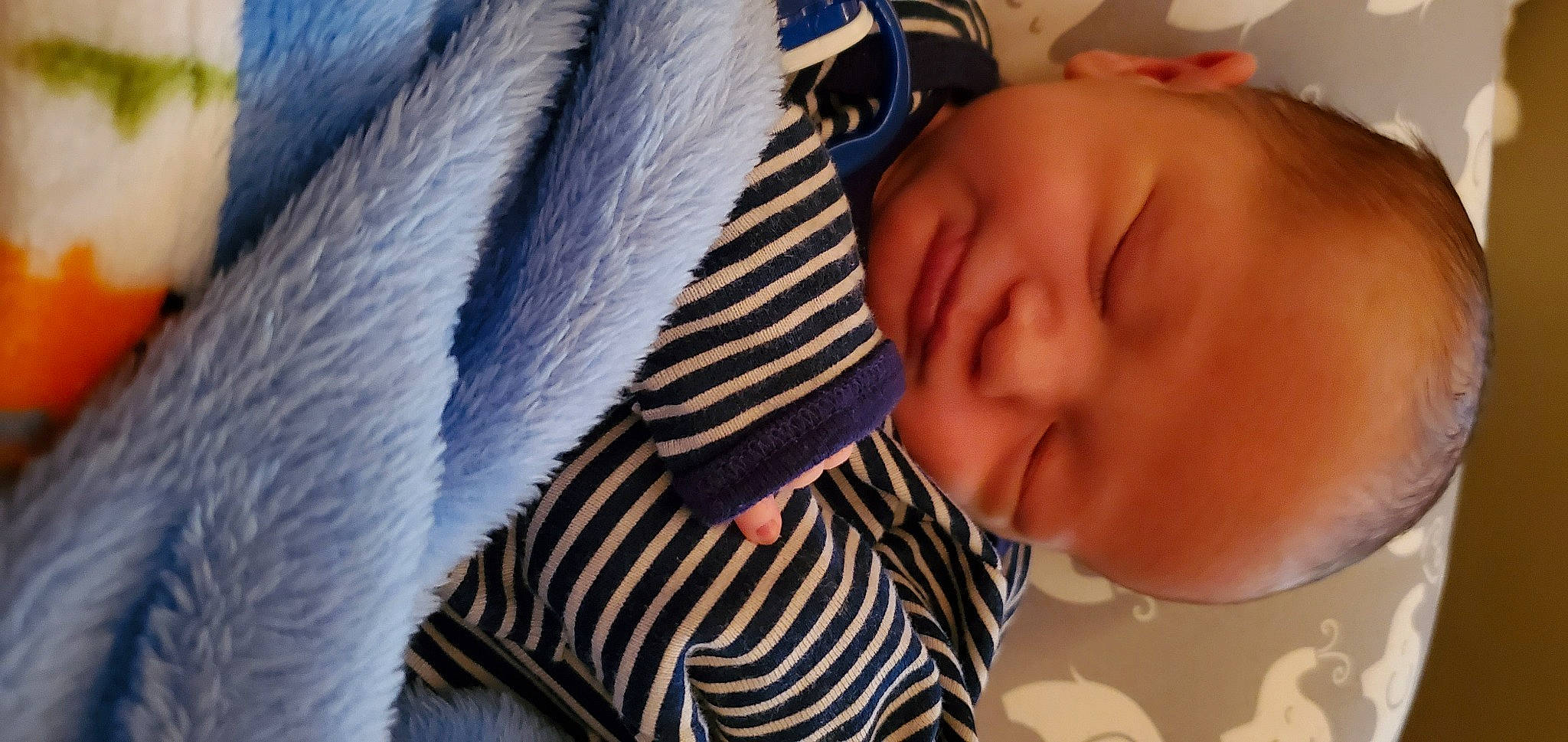 Ford joined the competition — help win amazing prizes! baby, baby_toddler_clothing, cheek, child, fur, human, lip, nap, person, skin, textile, toddler, wool, woolen