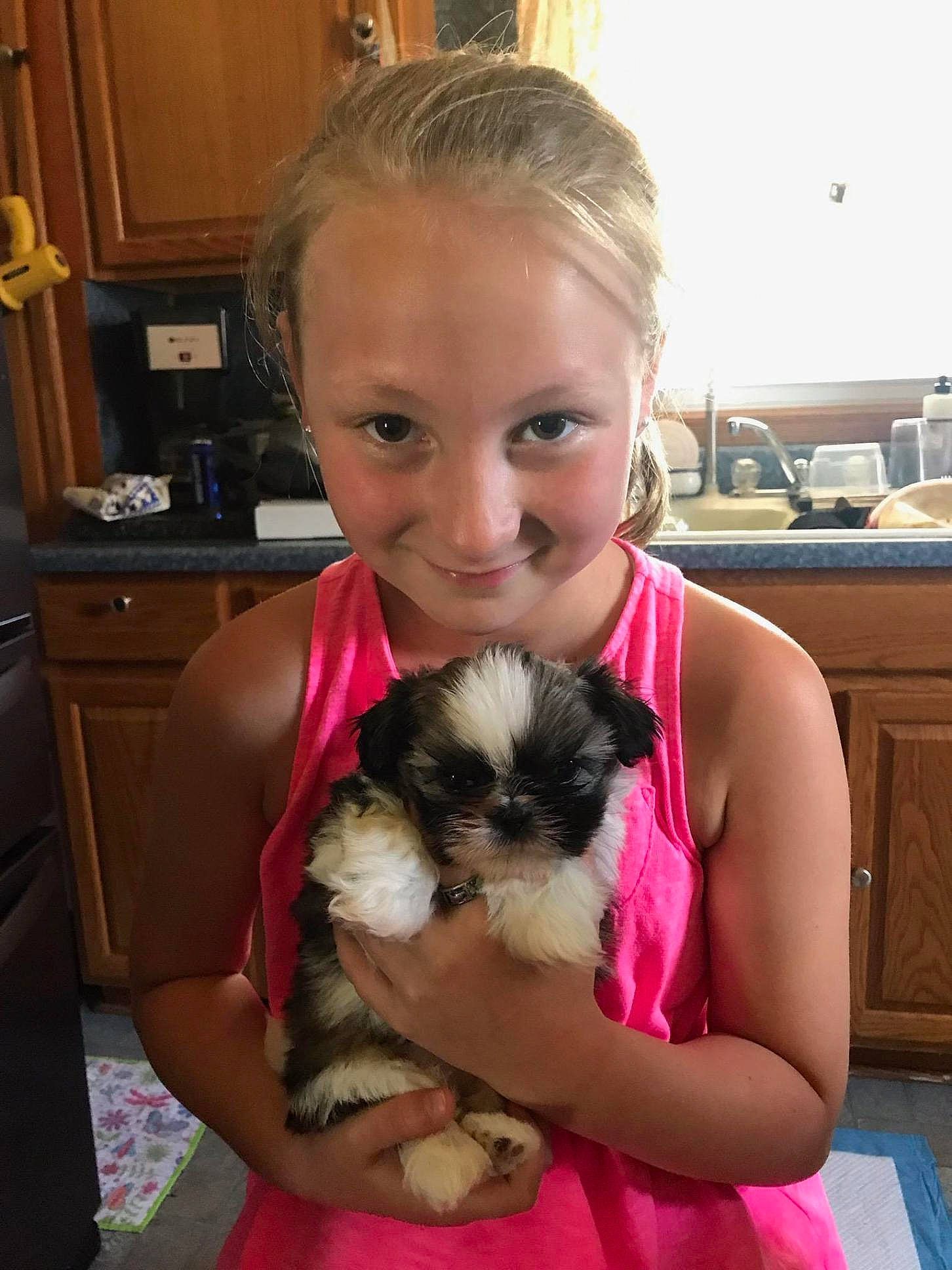 Stella joined the competition — help win amazing prizes! canidae, carnivore, cavachon, chinese_imperial_dog, companion_dog, dog, dog_breed, havanese, kyi_leo, lowchen, mal_shi, maltepoo, mammal, morkie, puppy, puppy_love, schnoodle, shih_tzu, toy_dog, vertebrate