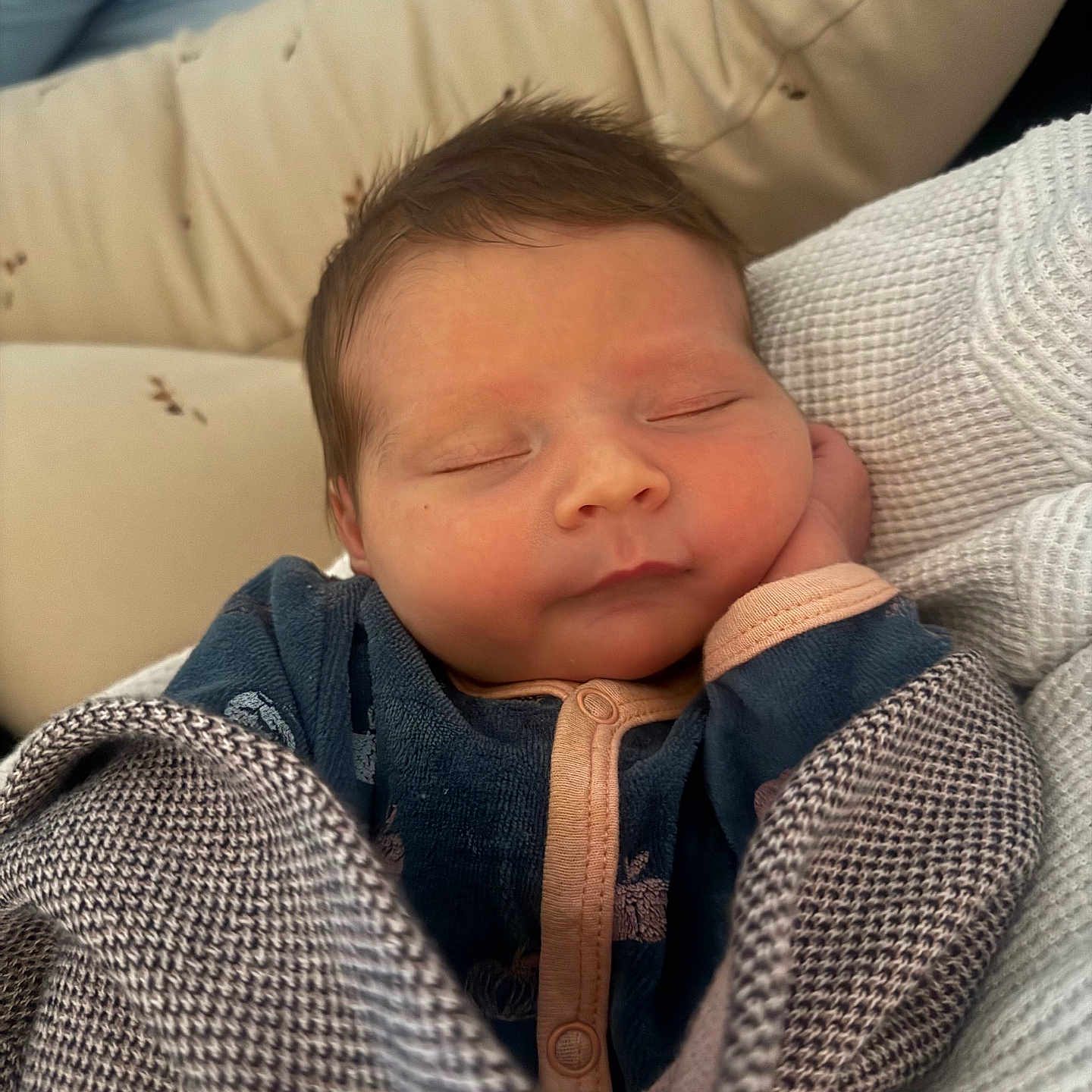 Catarina participe au concours pour gagner de l'argent avec cette photo : baby, blanket, child, clothing, cozy, cushion, cute, face, hands, head, indoor, infant, newborn, peaceful, portrait, relaxation, rest, sleeping, soft, young