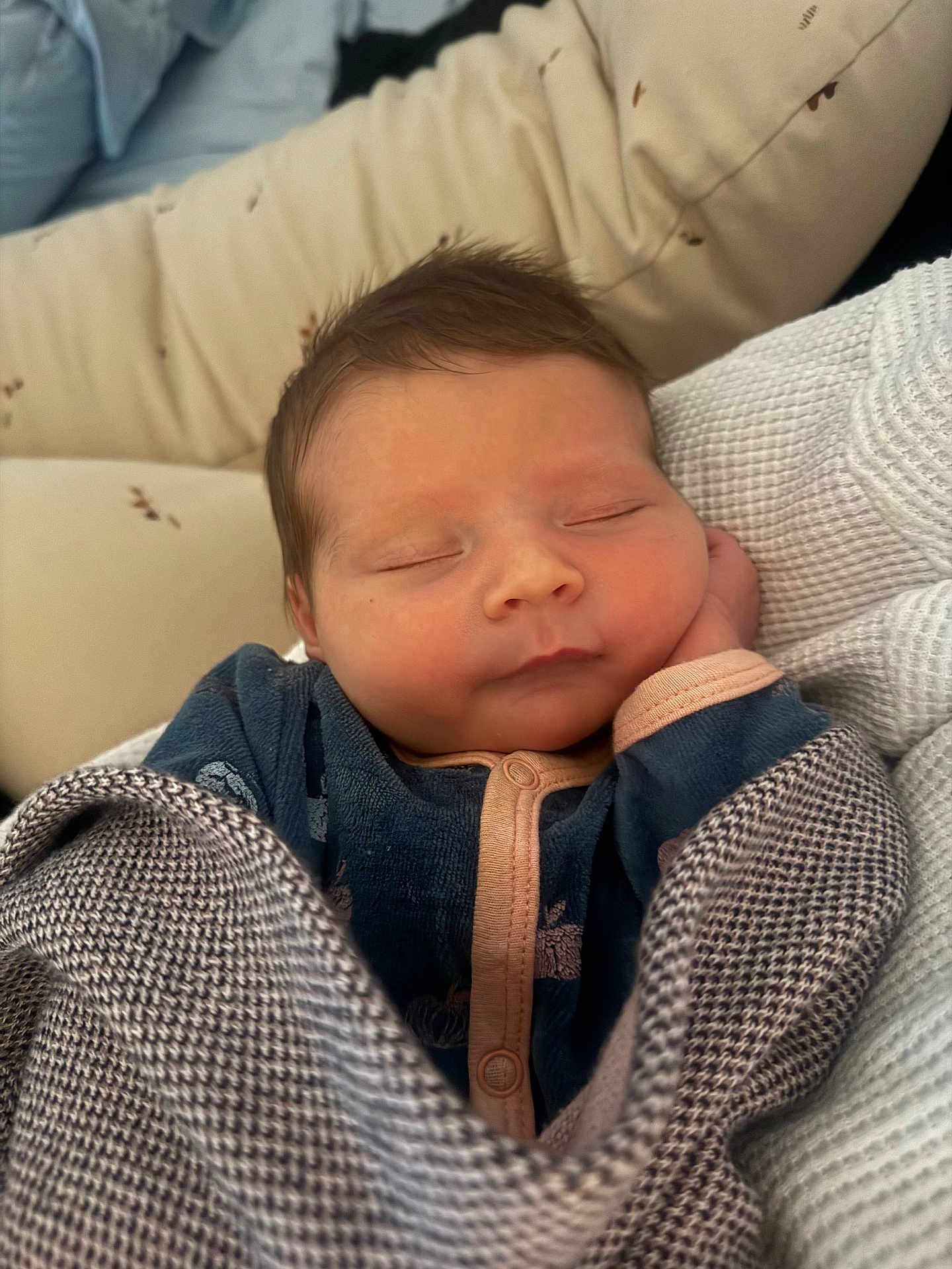 Catarina participe au concours pour gagner de l'argent avec cette photo : baby, sleeping, blanket, cushion, infant, cozy, peaceful, child, portrait, soft, rest, cute, newborn, face, clothing, indoor, hands, head, relaxation, young