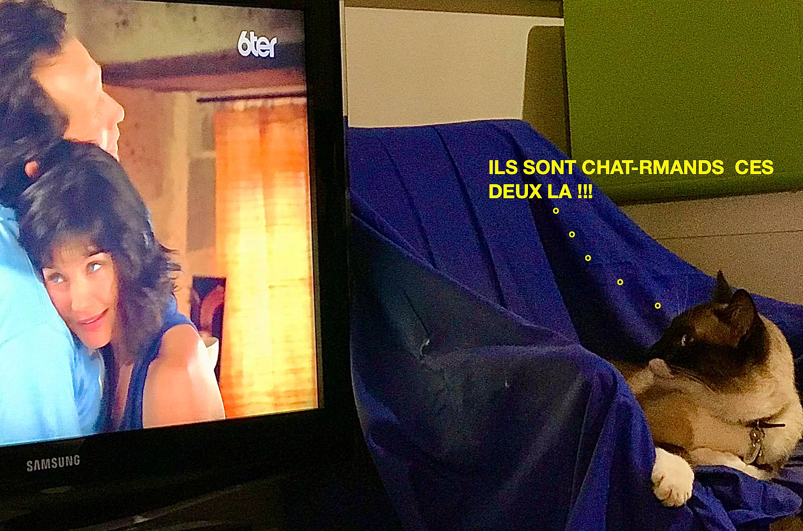 Gâteau participe au concours pour gagner de l'argent avec cette photo : advertising, canidae, communication_device, display_device, electric_blue, eyelash, flash_photography, flat_panel_display, font, gadget, led_backlit_lcd_display, magenta, multimedia, photo_caption, product, purple, room, television_program, television_set, tie