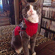 Cash is registered to the contest to win money with this photo: