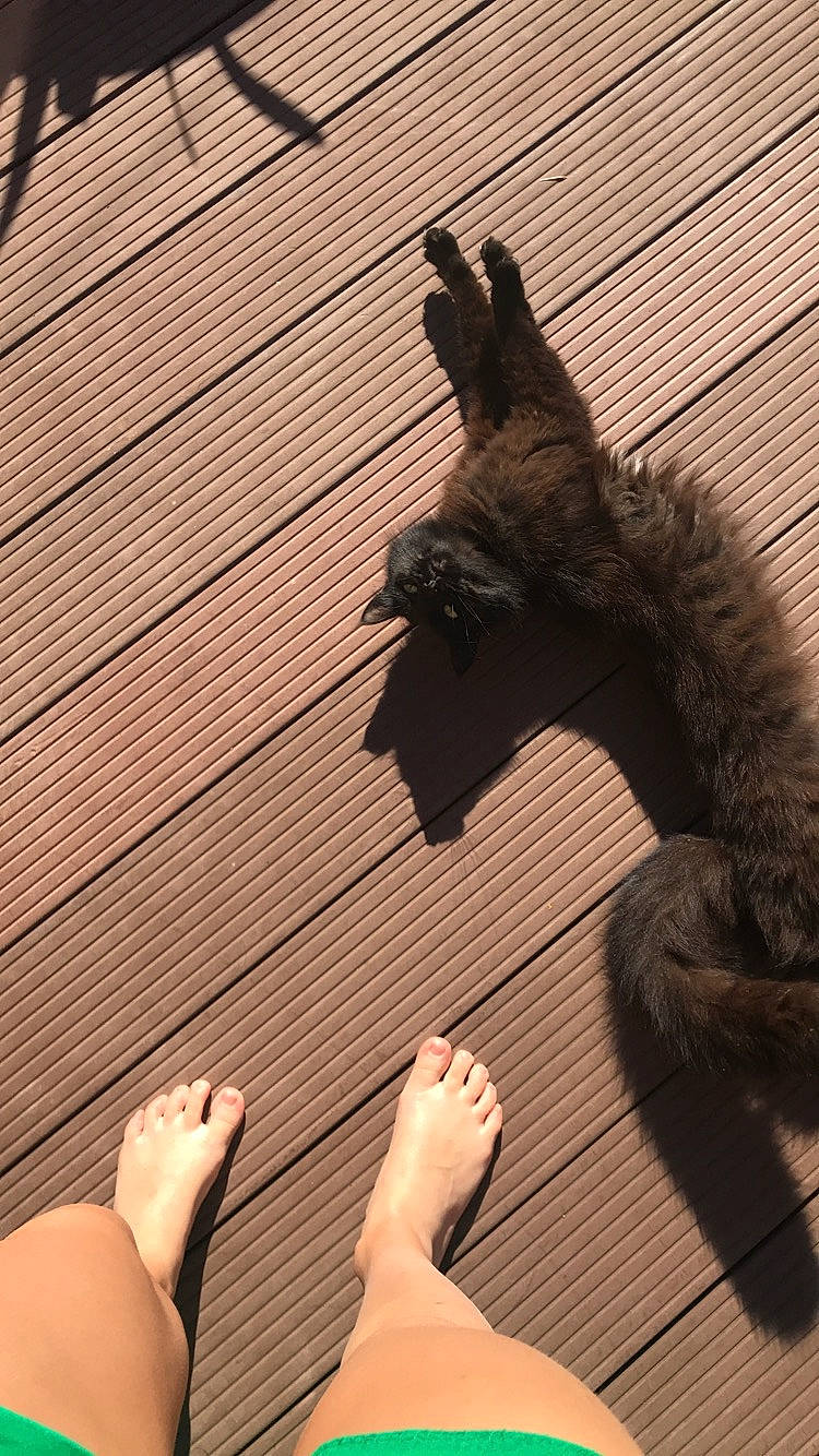 Lost a rejoint le concours — aidez-le/la à gagner de superbes lots ! architecture, cat, finger, gesture, hand, leg, roof, shadow, squirrel, tail, thumb, tints_and_shades, wood