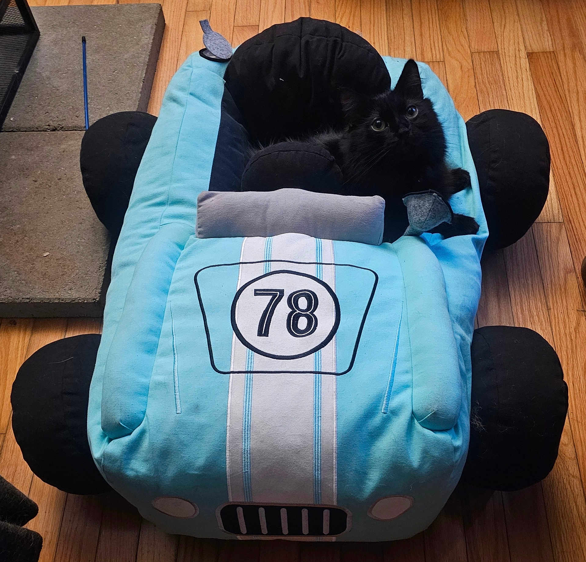 Kaya joined the competition — help win amazing prizes! cat, black_cat, plush_car_bed, soft_toy, indoor, wooden_floor, pet_bed, cute, animal, feline, cozy, stuffed_toy, car_shaped_bed, pet, relaxed, toy_car, number_78, flooring, home, curious