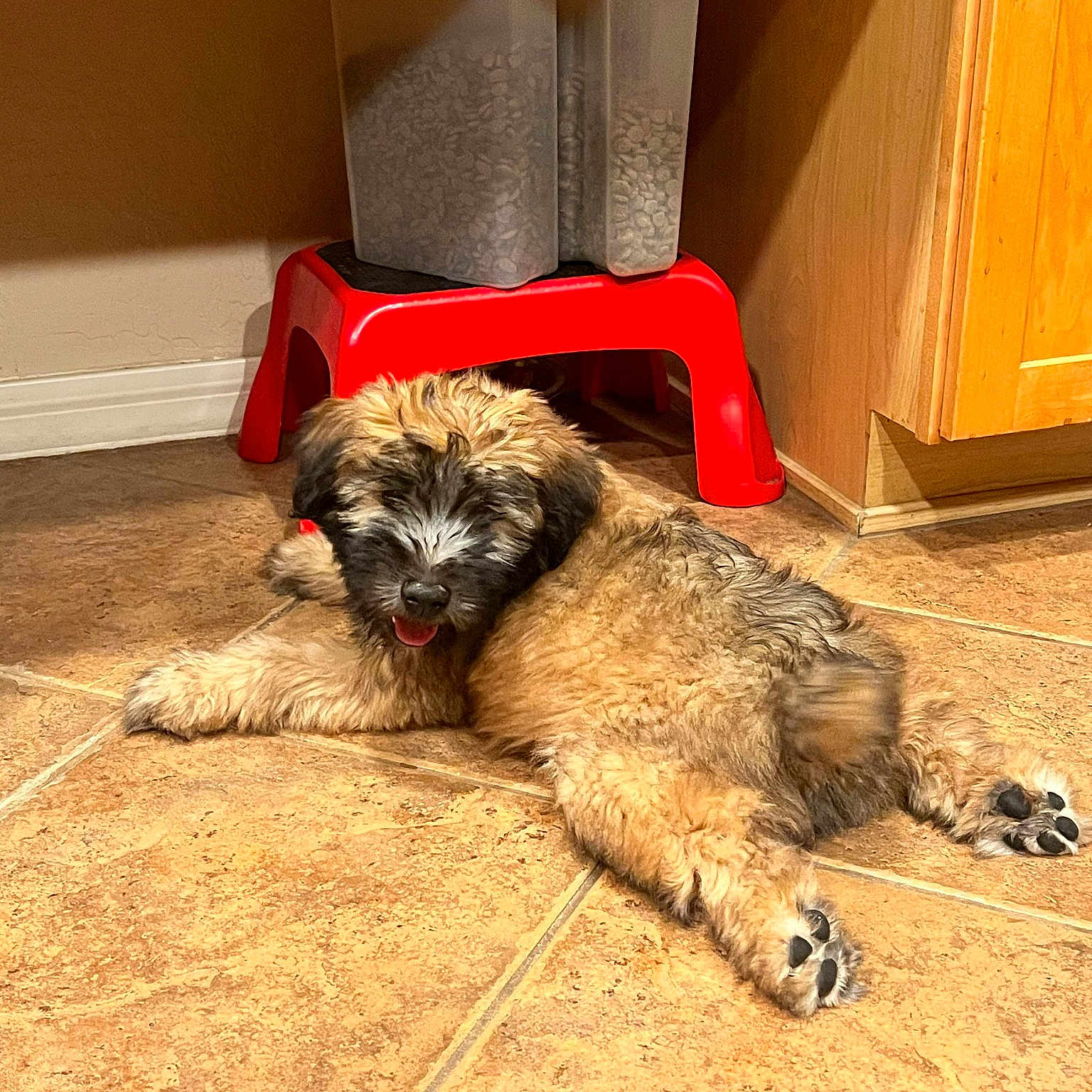 Roscoe