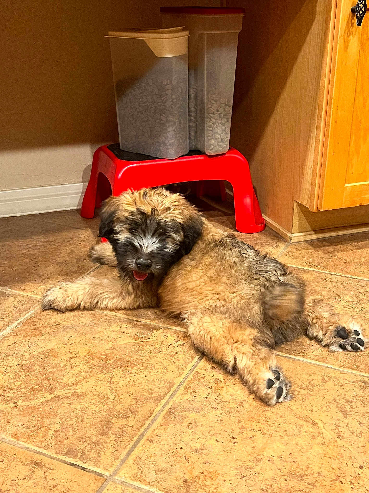 Roscoe