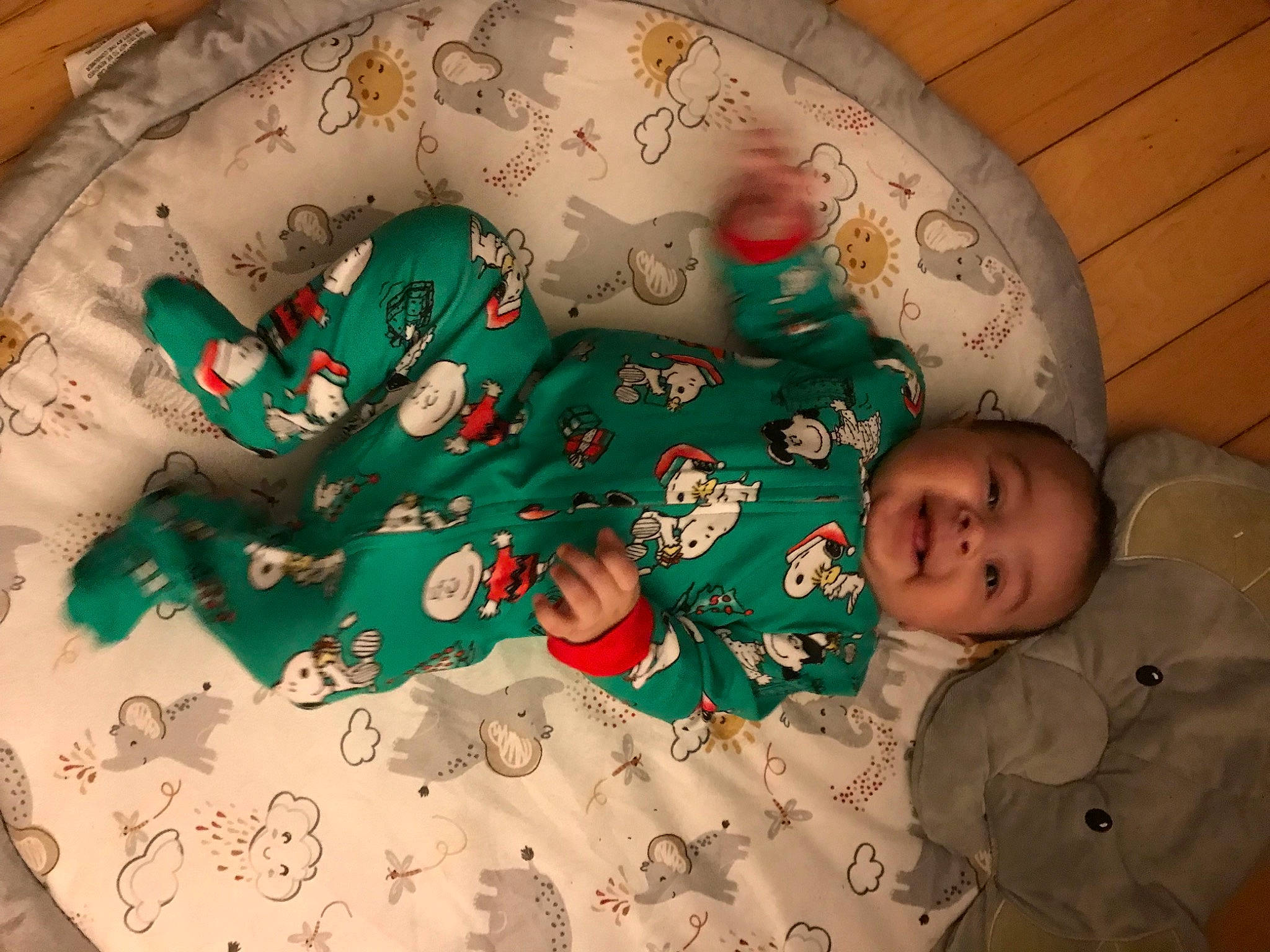 Adonis is registered to the contest to win money with this photo: art, baby, baby_toddler_clothing, christmas, christmas_decoration, christmas_eve, comfort, creative_arts, event, happy, holiday, linens, ornament, pattern, person, sleeve, smile, t_shirt, textile, toddler