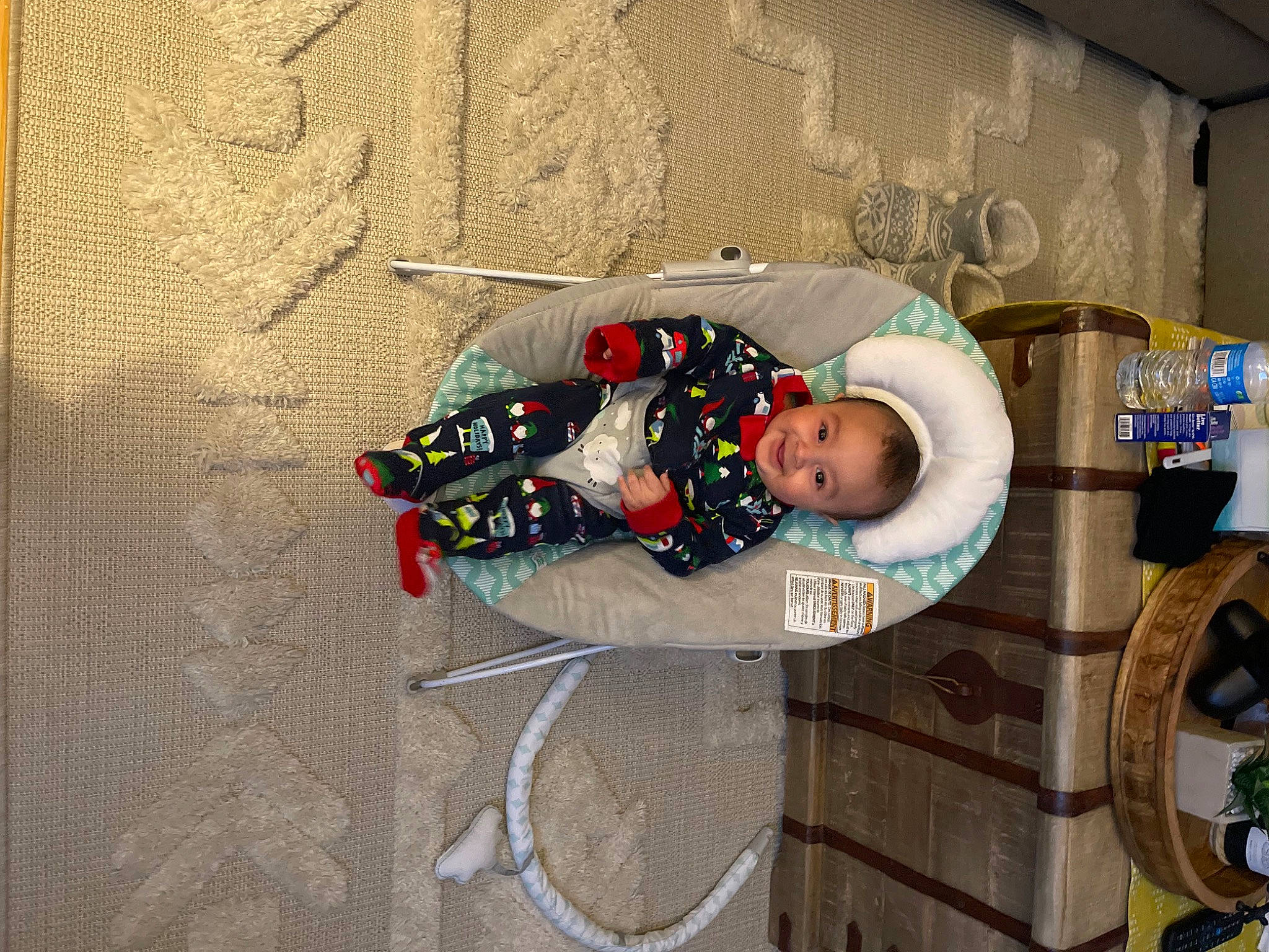 Adonis joined the competition — help win amazing prizes! baby, baby_products, carmine, child, concrete, fun, joy, person, personal_protective_equipment, toddler, tree, window, winter
