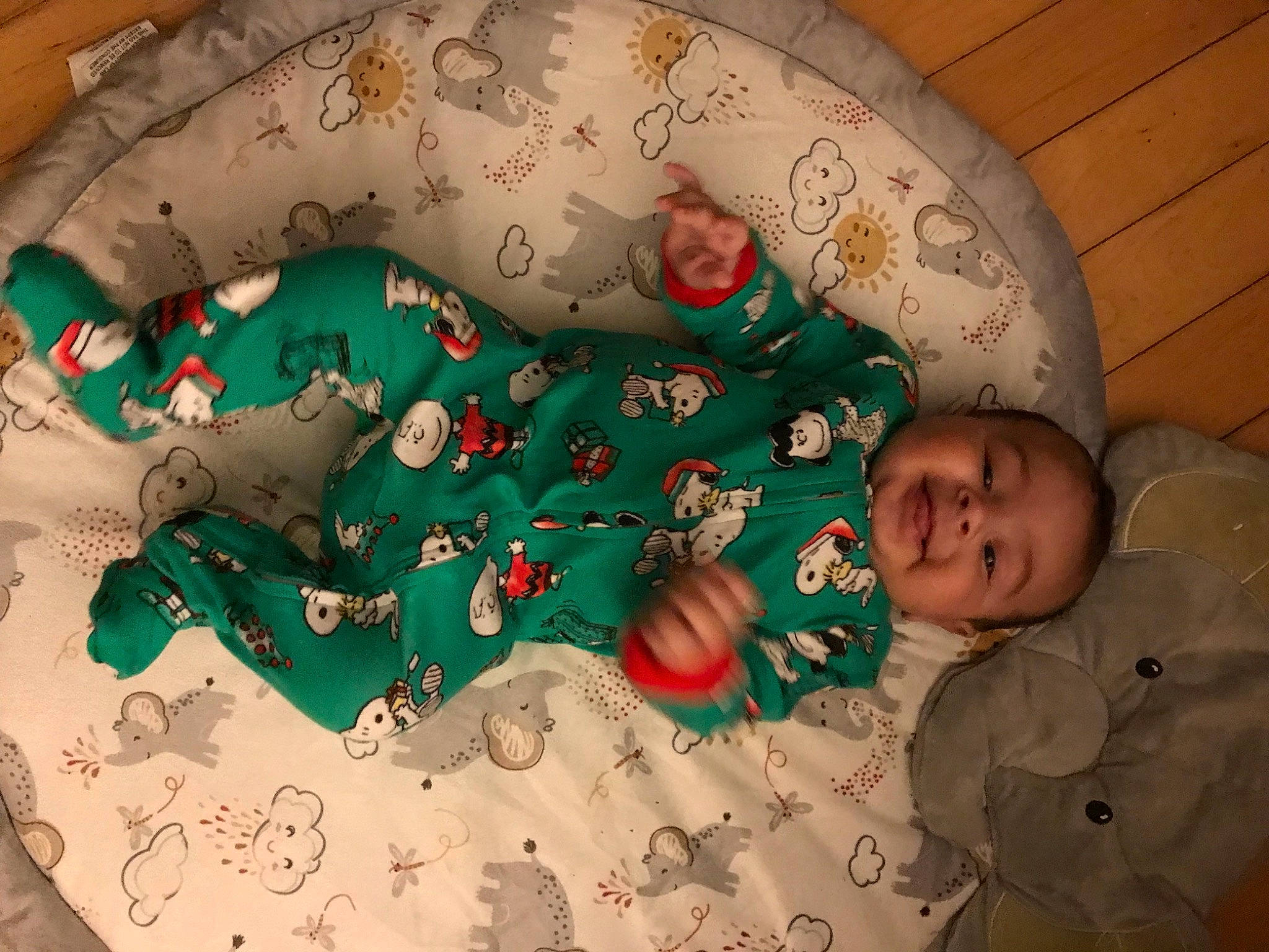 Adonis joined the competition — help win amazing prizes! art, baby, baby_toddler_clothing, child, christmas, comfort, creative_arts, event, fashion_accessory, flesh, happy, holiday, linens, pattern, person, room, sleeve, smile, textile, toddler