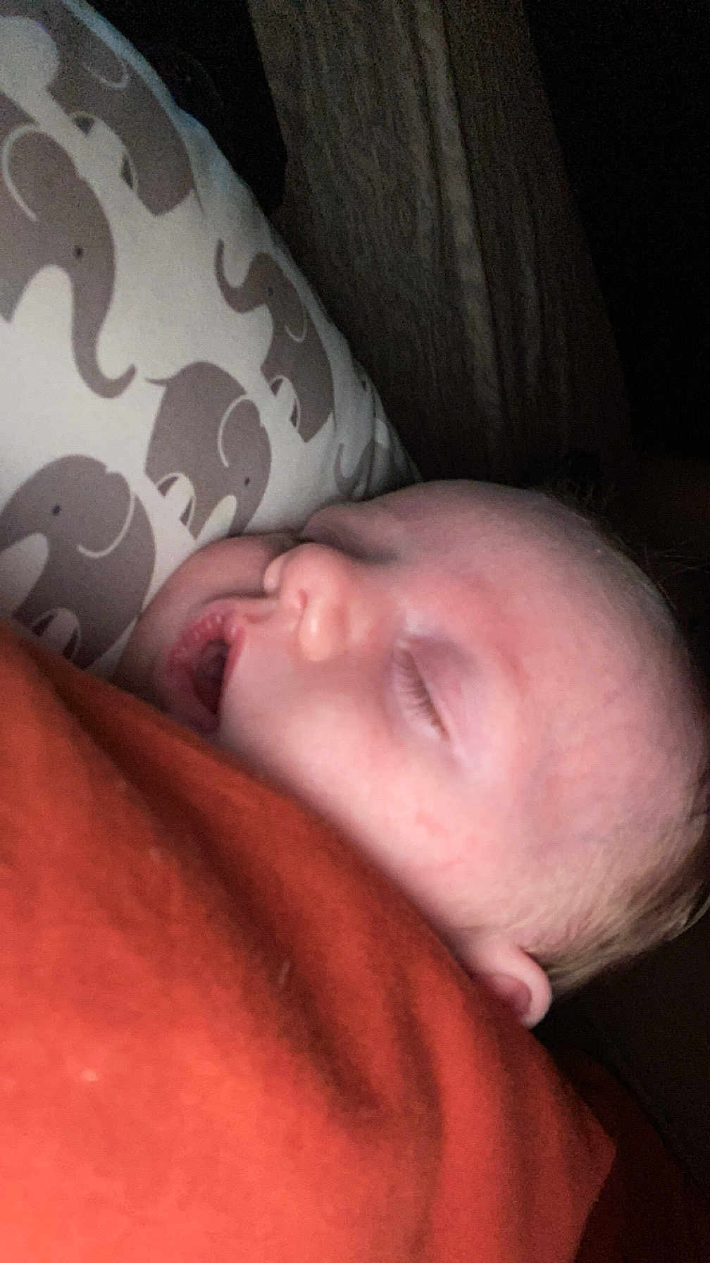 Cora is registered to the contest to win money with this photo: baby, sleeping, face, infant, elephant_pattern, blanket, cozy, soft, rest, closeup, child, toddler, cute, peaceful, portrait, head, skin, comfort, nap, warm