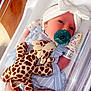 Cora is registered to the contest to win money with this photo: newborn, baby, infant, hospital, bassinet, pacifier, plush_toy, giraffe, headband, bow, hand, clothing, striped, sleeping, cute, child, person, soft_toy, hospital_wristband, resting
