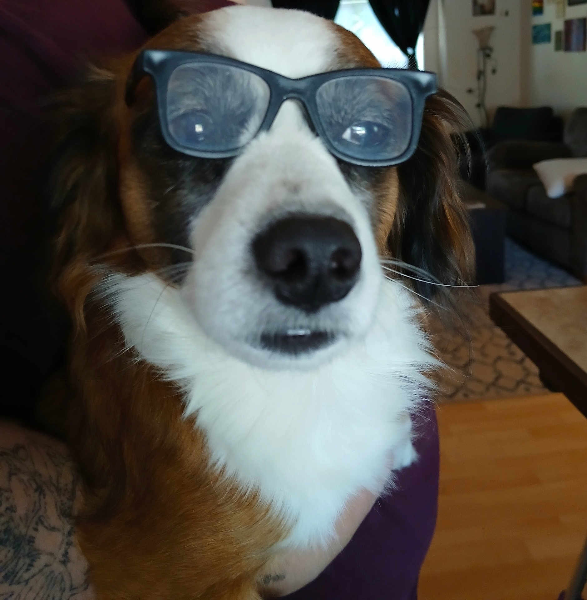 Bandit