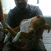 Chato is registered to the contest to win money with this photo: