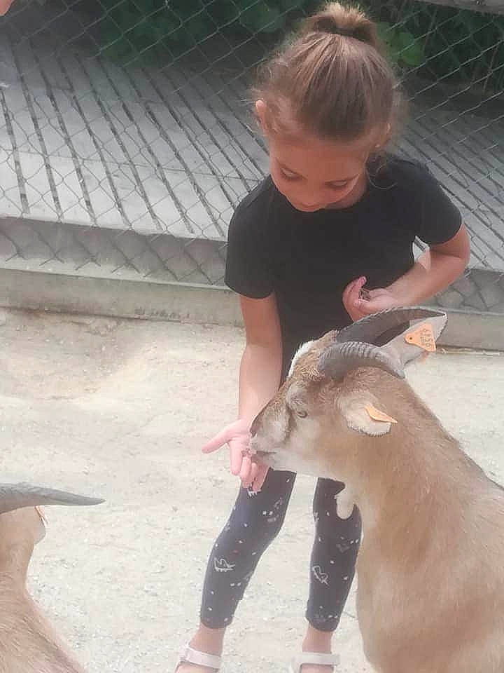Louna participe au concours pour gagner de l'argent avec cette photo : child, fawn, goat, goats, person