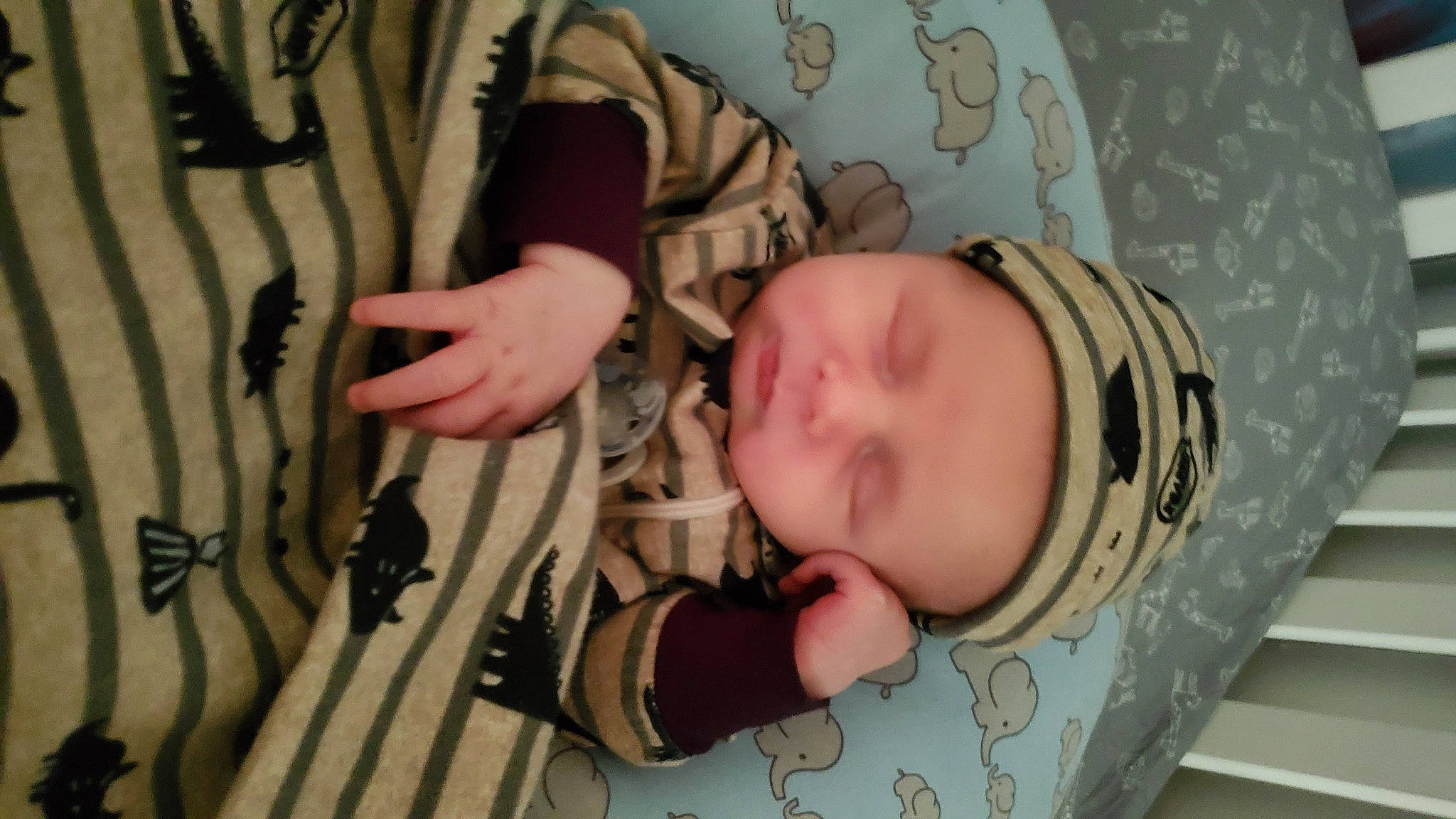 Clyde is registered to the contest to win money with this photo: baby, baby_products, cheek, child, finger, headwear, mouth, person, sleep, thumb, toddler