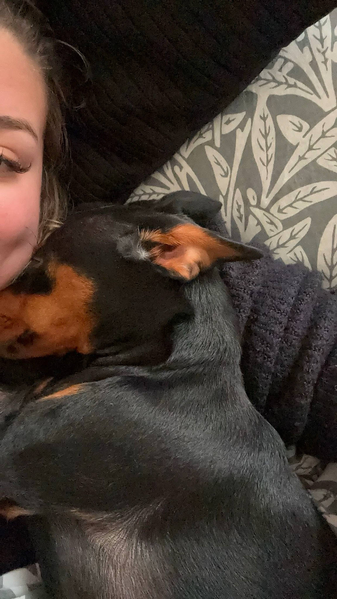 Urgo participe au concours pour gagner de l'argent avec cette photo : canidae, carnivore, comfort, companion_dog, dog, dog_breed, ear, fawn, fur, gesture, grey, guard_dog, happy, nose, rottweiler, snout, sporting_group, toy_dog, working_animal, working_dog