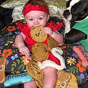 Octavia is registered to the contest to win money with this photo: baby, dog, cookie, red_clothing, headband, pillow, black_and_white_dog, christmas_sweater, green_clothing, toy_bone, floral_pattern, cute, holiday, festive, pet, indoor, portrait, smiling, sitting, cozy