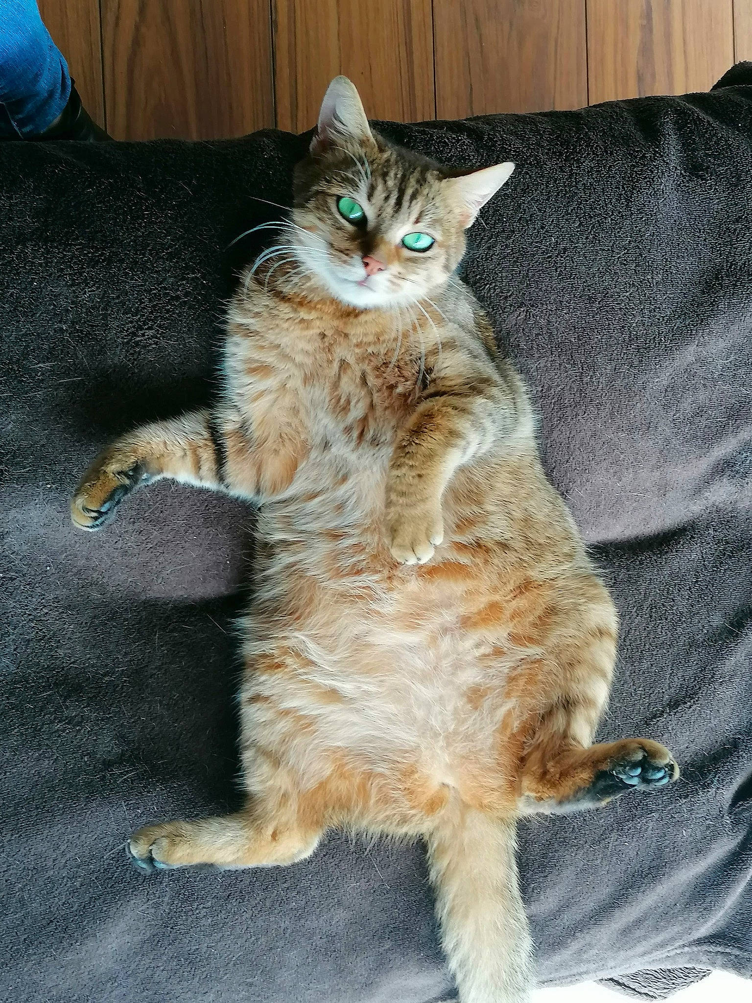 Zouzou