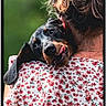 Potter participe au concours pour gagner de l'argent avec cette photo : dog, puppy, black_and_tan, tongue_out, happy, portrait, close_up, cuddling, person, floral_shirt, roses, outdoor, green_background, pet, canine, long_ears, brown_eyes, nose, fur, photography