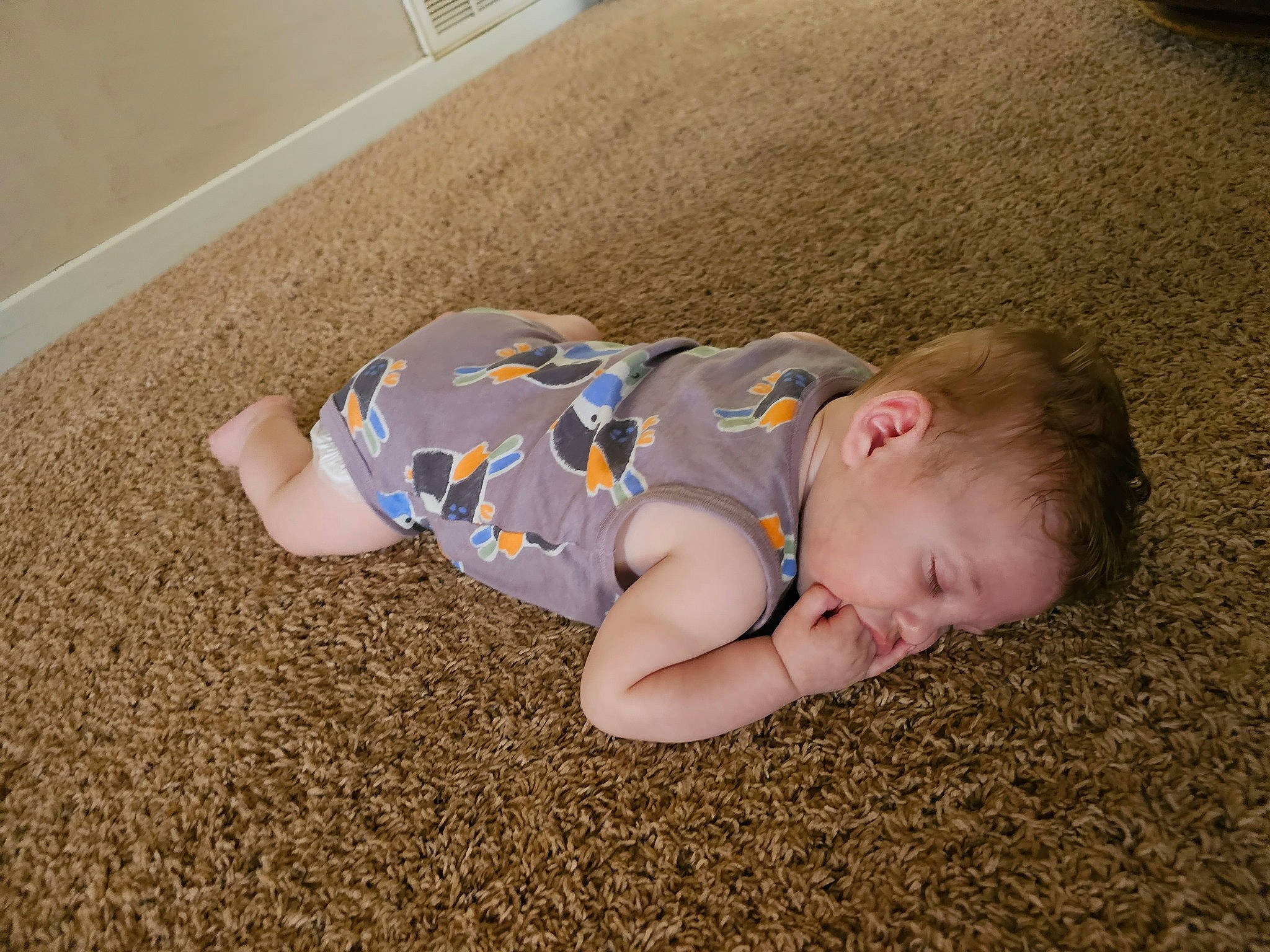 Declan is registered to the contest to win money with this photo: baby, baby_toddler_clothing, carpet, child, comfort, crawling, floor, flooring, fun, grass, hardwood, head, people_in_nature, person, play, sitting, soil, toddler, tummy_time, wood
