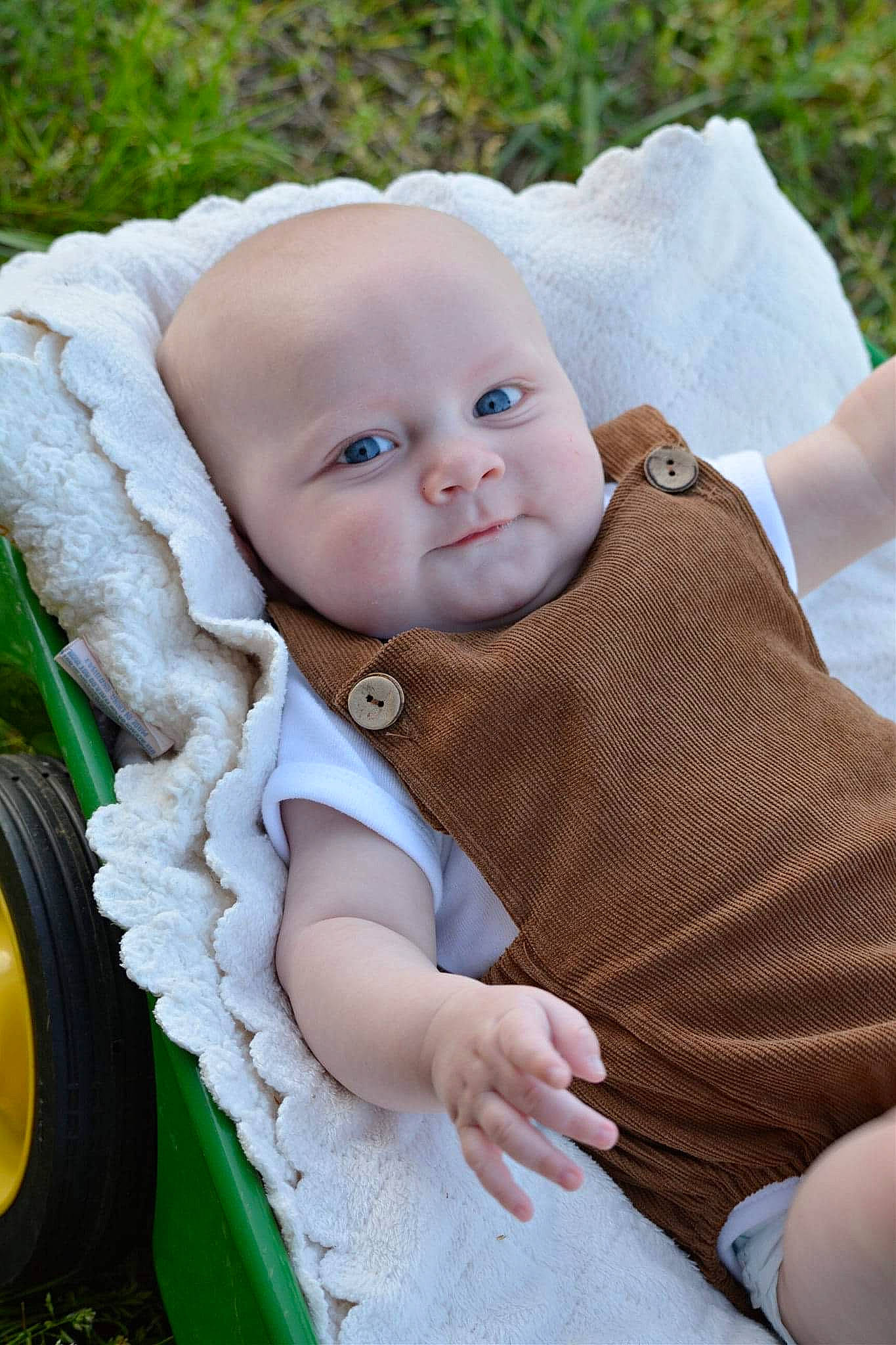 Ledger is registered to the contest to win money with this photo: baby, baby_products, baby_toddler_clothing, cheek, child, eye, grass, happy, iris, leaf, pattern, people_in_nature, person, plant, product, sitting, skin, tire, toddler, wheel