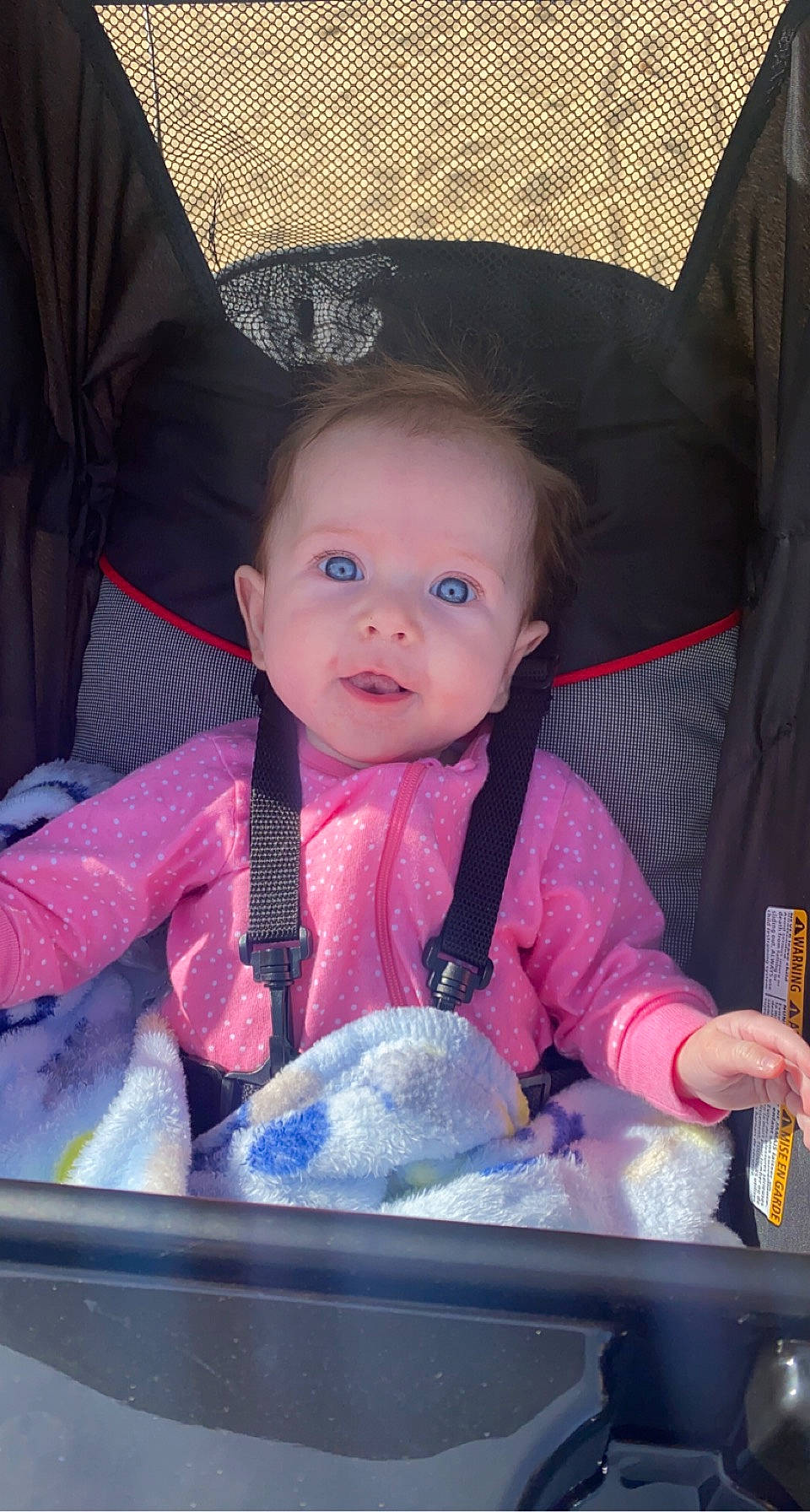 Everly joined the competition — help win amazing prizes! auto_part, baby, baby_carriage, baby_products, baby_safety, baby_toddler_clothing, car_seat, chair, cheek, child, comfort, electric_blue, fun, iris, mouth, person, product, sitting, skin, smile