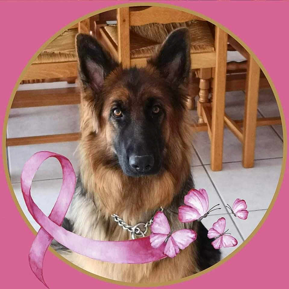 Orka
