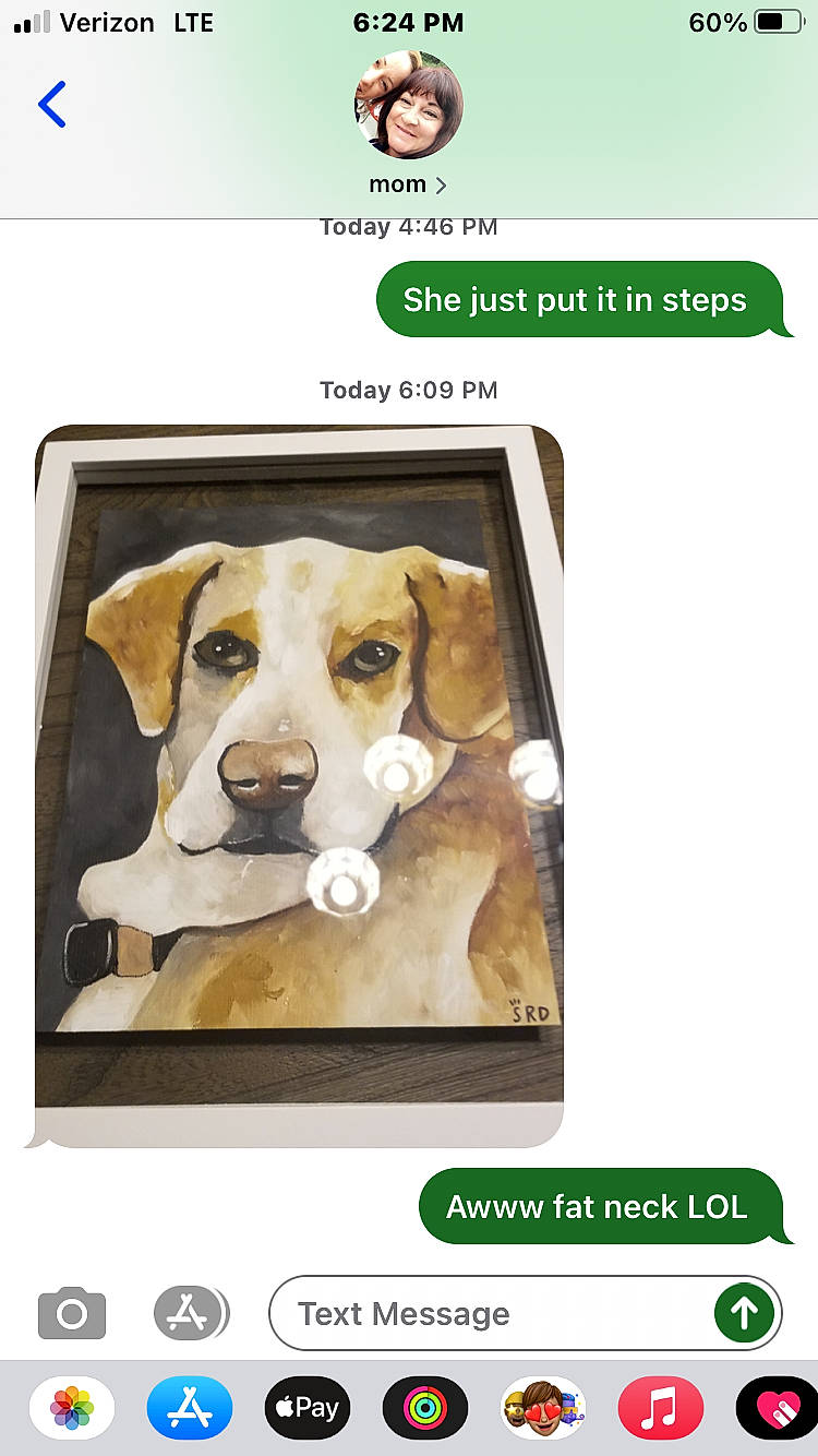 Benny is registered to the contest to win money with this photo: advertising, canidae, carnivore, collar, companion_dog, dog, dog_breed, dog_supply, font, multimedia, paw, pet_supply, photo_caption, screenshot, snout, sporting_group, technology, working_animal