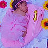 baby, sleeping, newborn, child, portrait, pink, flower_crown, headband, tutu, dress, blanket, plush_blanket, birthday, number_one, balloon, sunflowers, pacifier, diaper, outdoor, grass
