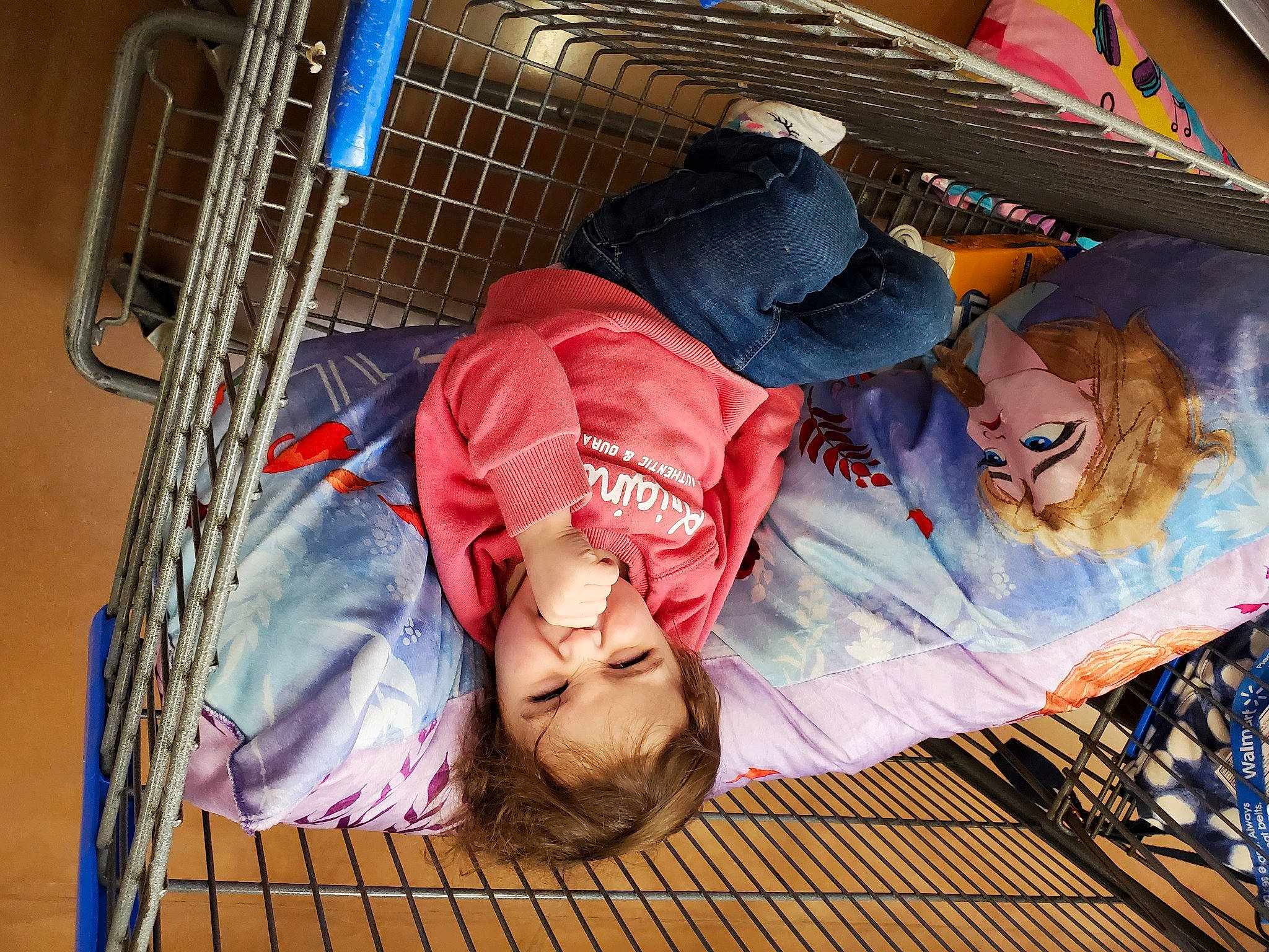 Alison is registered to the contest to win money with this photo: fedora, hat, person, pet_supply