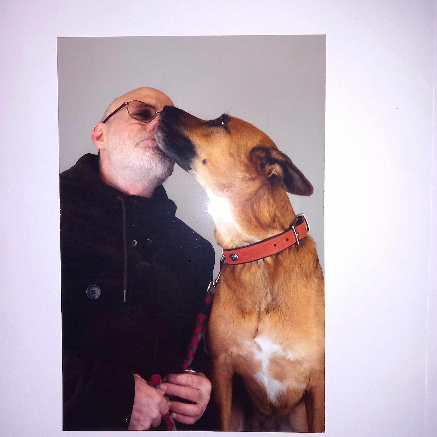 Olympe participe au concours pour gagner de l'argent avec cette photo : accessories, adult, animal, bodypart, canine, clothing, coat, dog, face, finger, head, hound, jacket, male, man, person, pet, photography, portrait, strap