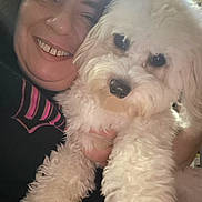 Jay Jay joined the competition — help win amazing prizes! animal, casual, closeup, companionship, cute, dog, face, fluffy_dog, friendship, fur, happy, holding, indoor, love, person, pet, portrait, smile, warmth, white_dog