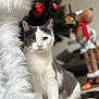 cat, feline, pet, white_and_gray_cat, christmas_tree, ornament, bokeh, stuffed_toy, plush, whiskers, green_decor, red_decor, indoor, portrait, sitting, paw, yellow_eyes, cozy, blurred_background, holiday_scene