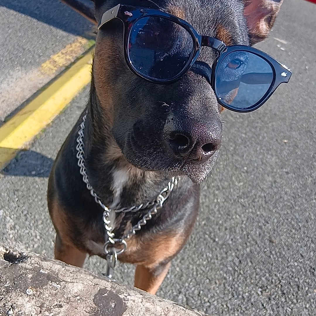Bella