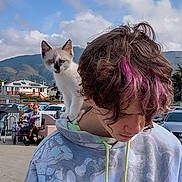 Neko joined the competition — help win amazing prizes! candid, car, casual_clothing, cat, clouds, curious, daytime, elderly_people, hair, hoodie, kitten, mountains, outdoor, parking_lot, person, pet, purple_hair, shoulder, sky, walker