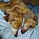 Wilson And Lola