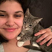 Lilly And Oscar joined the competition — help win amazing prizes! affection, casual_clothing, cat, close_up, couch, cozy, face, feline, gray_tabby, hand, indoor, kitten, nose_ring, person, pet, relaxation, smile, tattoo, white_paws, young_cat