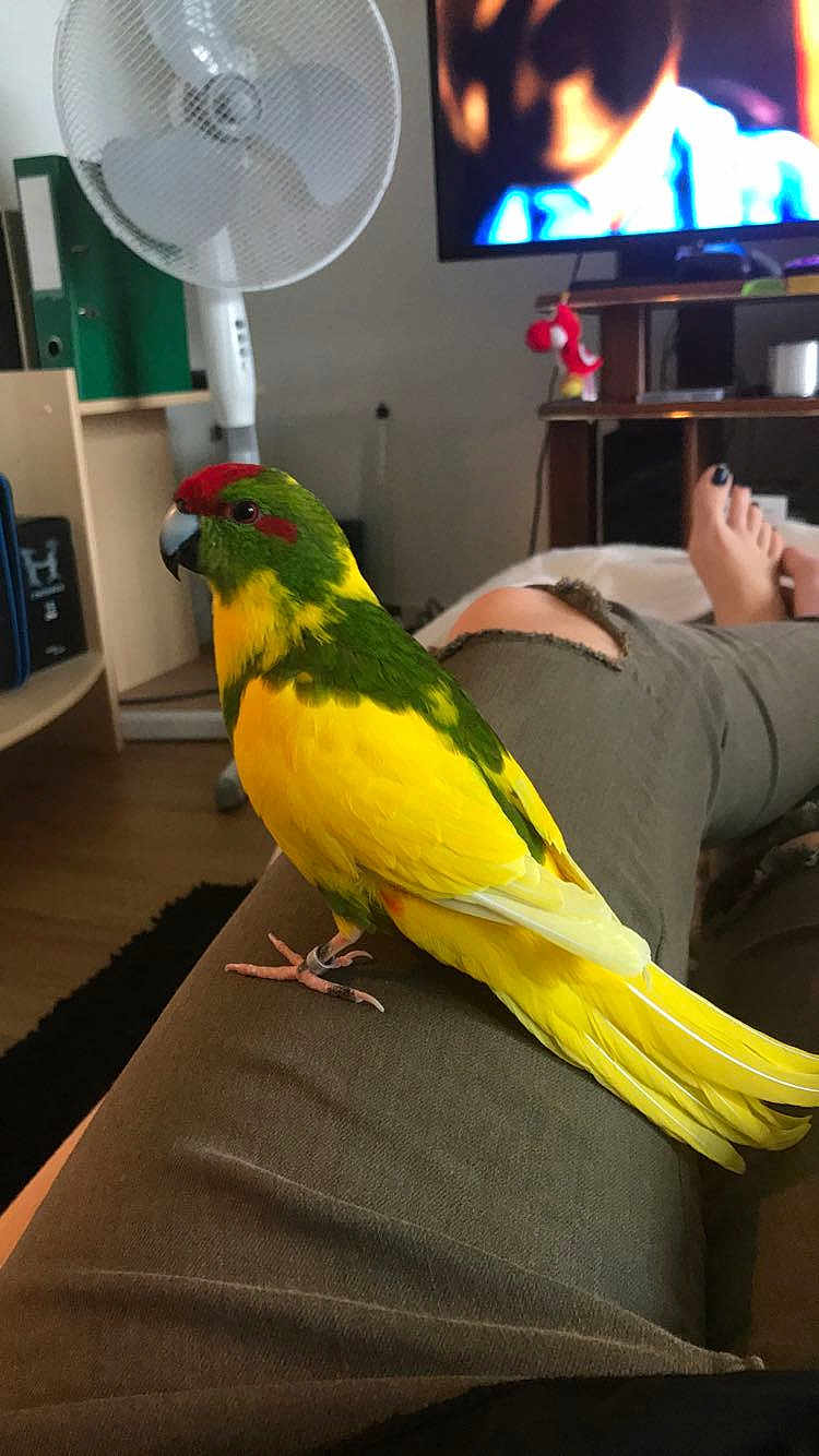 Marley