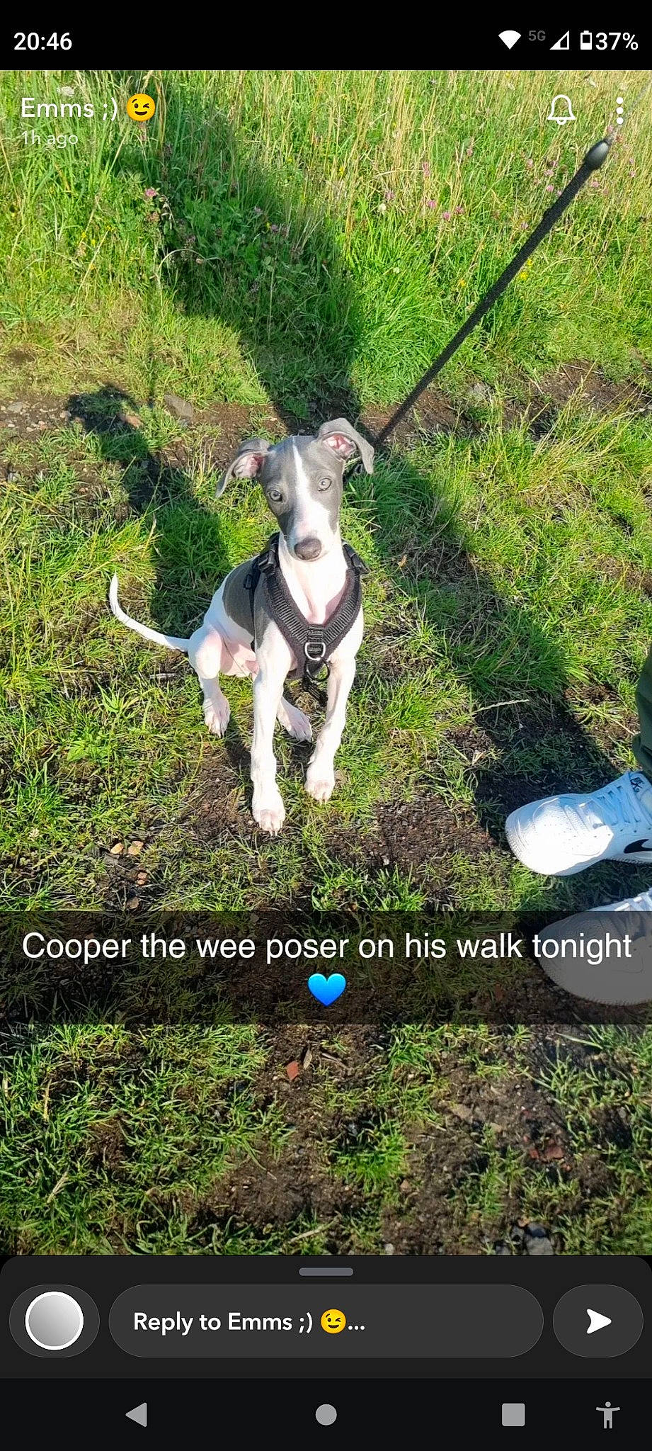 Cooper