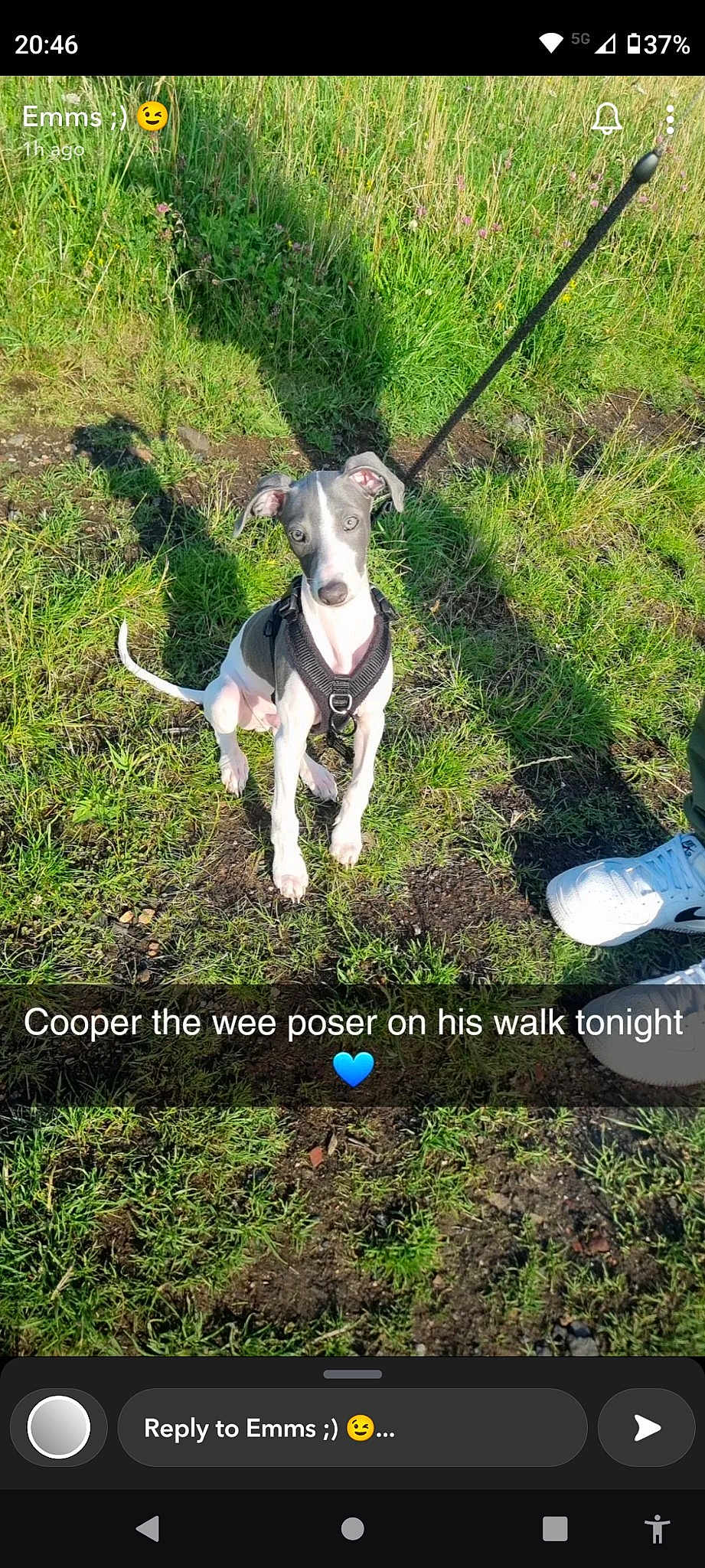 Cooper