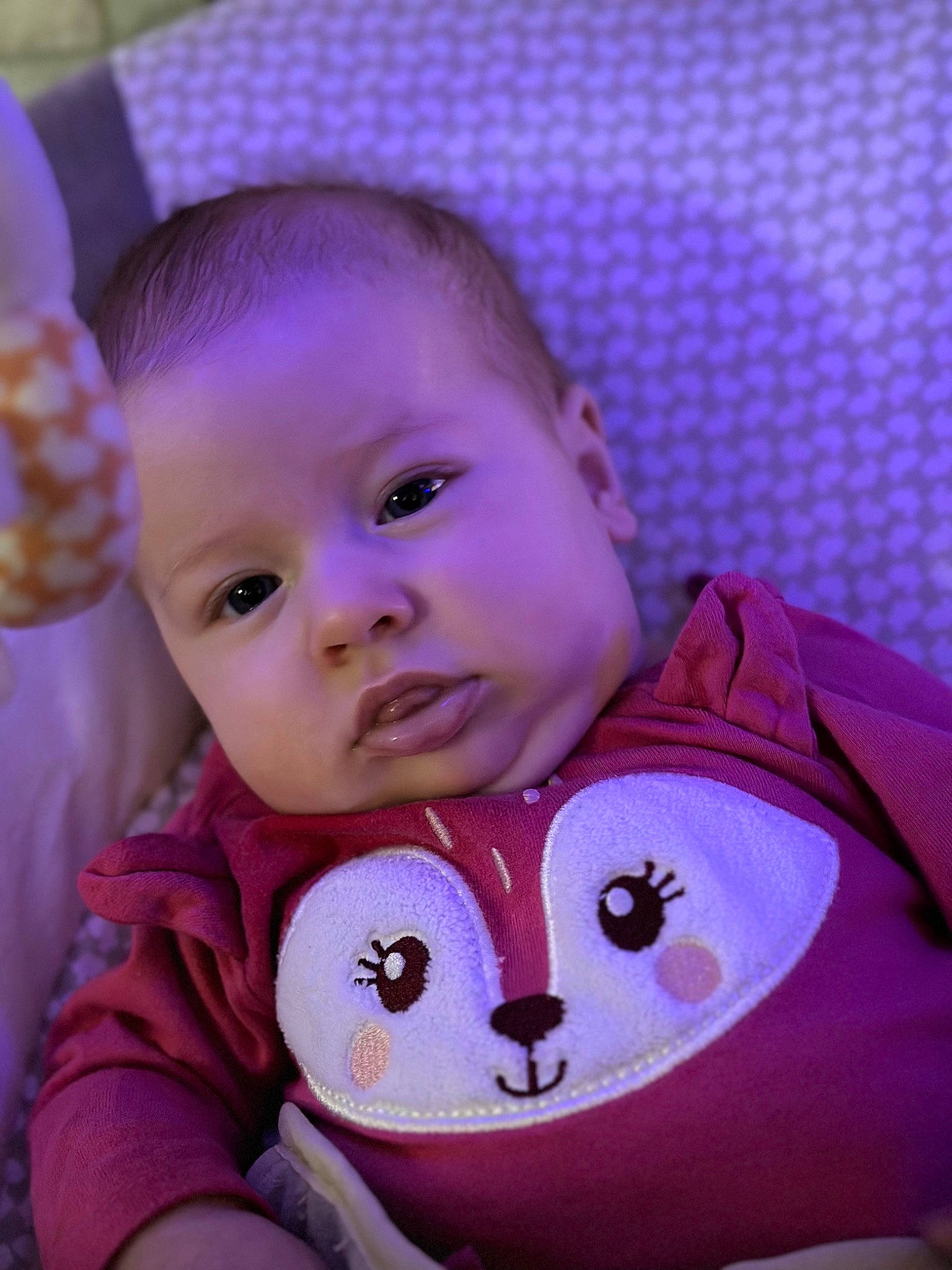 Aliza is registered to the contest to win money with this photo: baby, baby_toddler_clothing, bib, cheek, chin, eyebrow, eyelash, face, fun, happy, human_body, iris, lip, mouth, nose, person, pink, purple, skin, sleeve