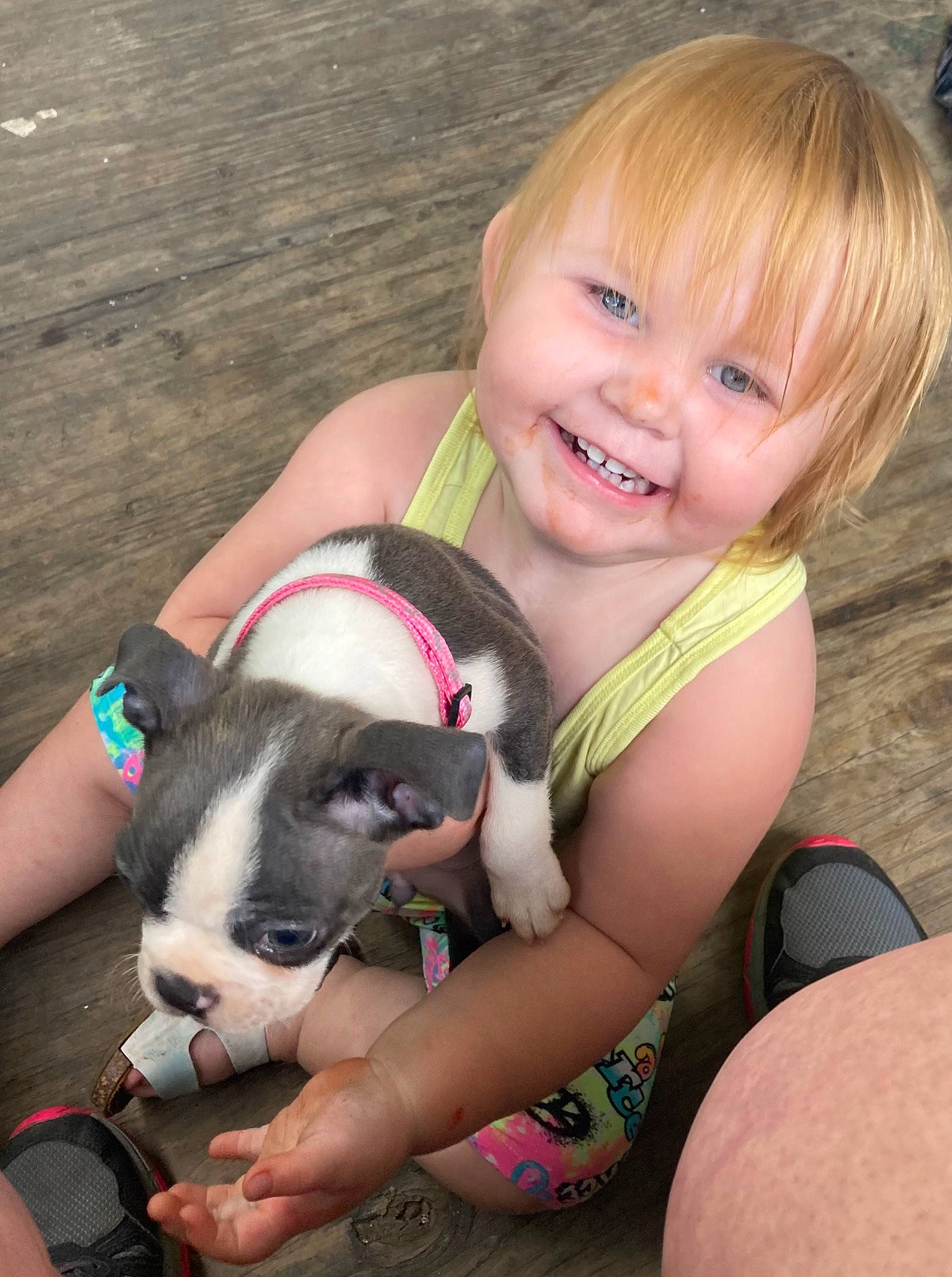 Crystal joined the competition — help win amazing prizes! arm, baby_toddler_clothing, carnivore, child, companion_dog, dog, dog_breed, finger, fun, hand, happy, human_leg, joy, leg, leisure, person, pink, recreation, skin, smile