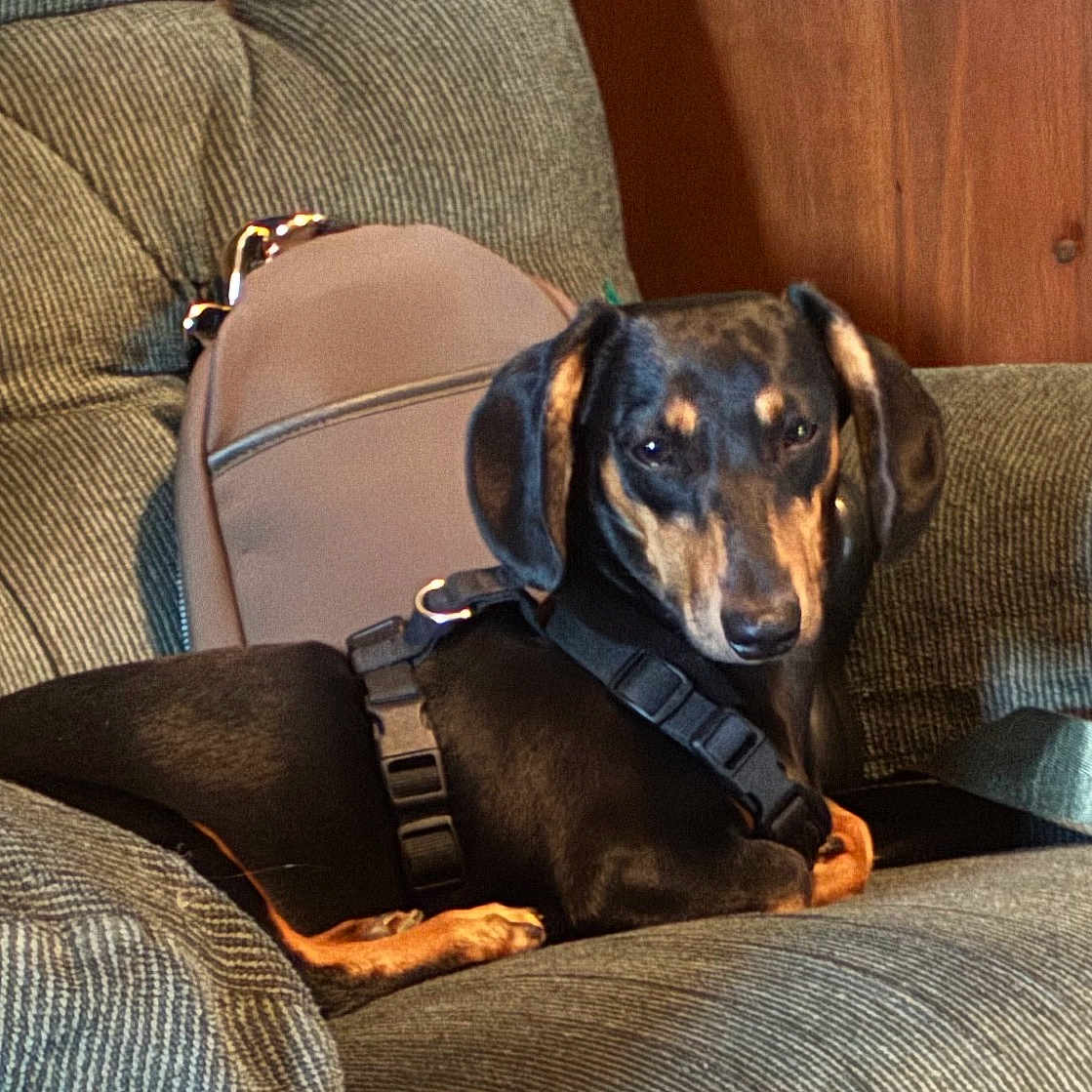 Rambo