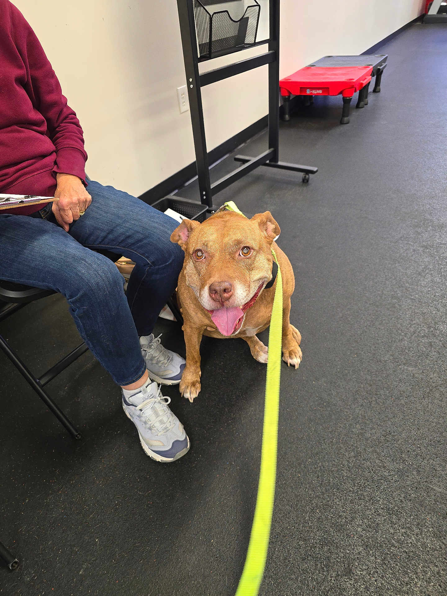 Melinia joined the competition — help win amazing prizes! animal, black_floor, casual, chair, clipboard, dog, friendly, happy, indoor, jeans, leash, pavement, person, pet, seated, side_view, smiling, sneakers, waiting, yellow_leash