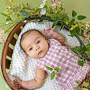 Kayleigh is registered to the contest to win money with this photo: baby, infant, basket, blanket, flowers, foliage, green_background, pink_dress, gingham_pattern, wooden_basket, portrait, newborn, lying_down, blue_eyes, hand, arm, soft_texture, floral_wreath, cozy, peaceful